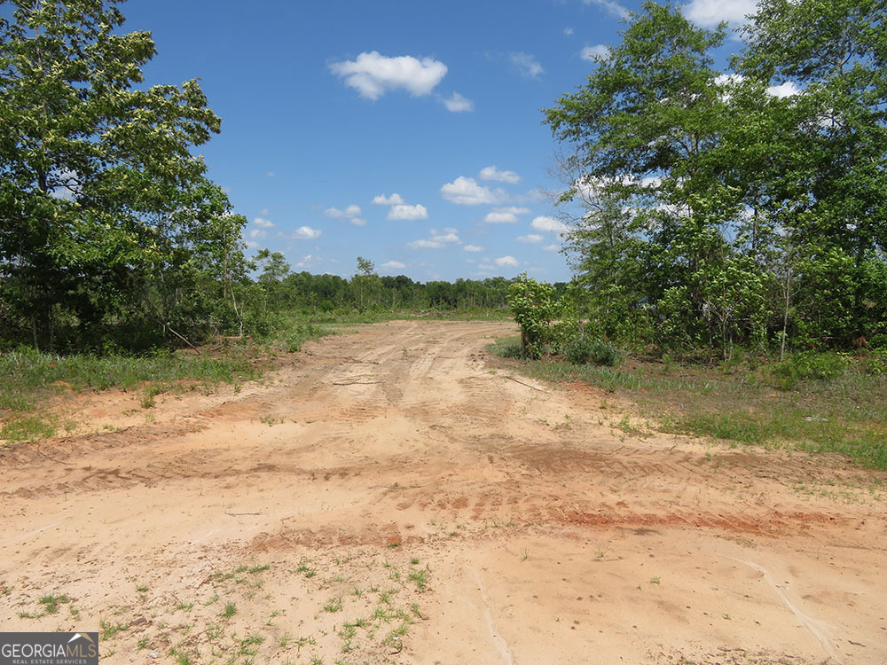 1 Goolsby Road Ellaville GA 31806