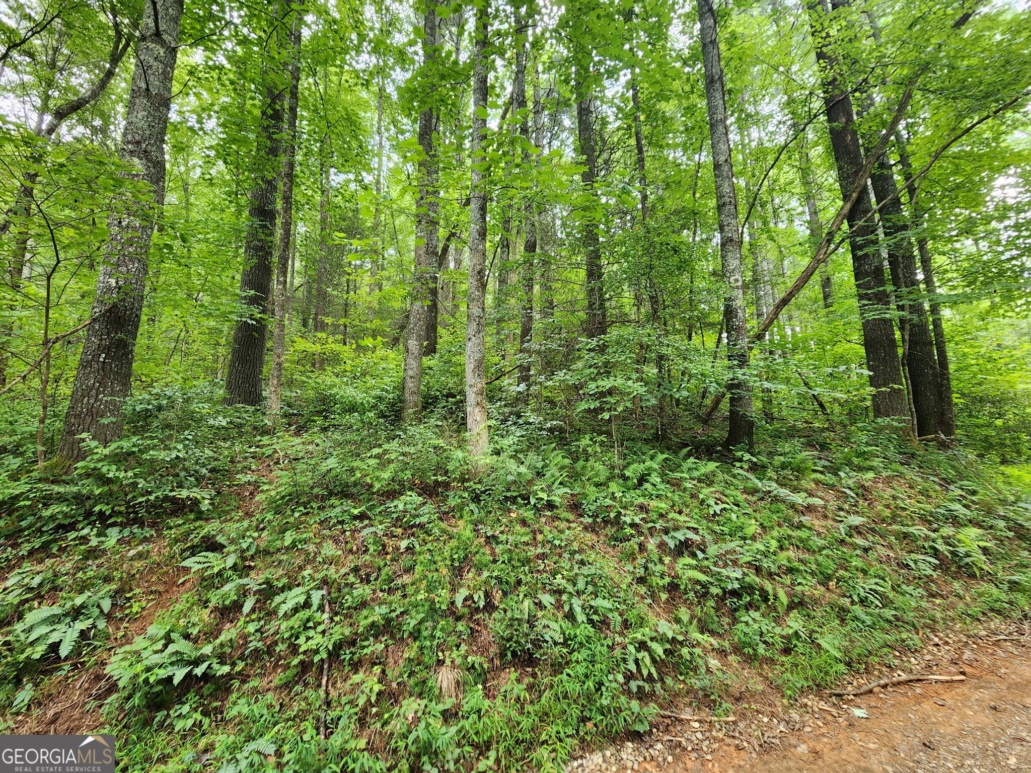 Tract 2a Poplar Cove Trail Suches GA 30572