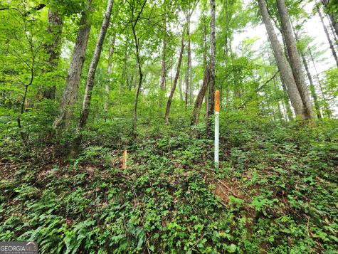 Tract 2a Poplar Cove Trail Suches GA 30572