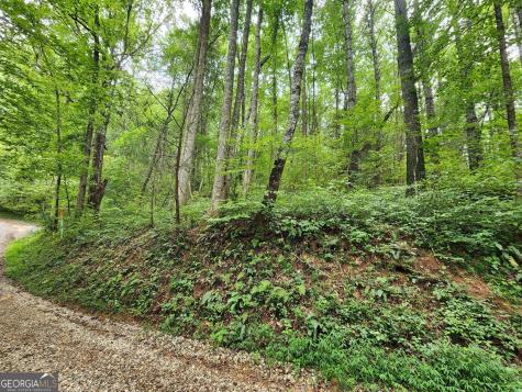 Tract 2a Poplar Cove Trail Suches GA 30572