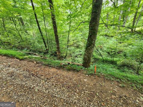 Tract 2a Poplar Cove Trail Suches GA 30572