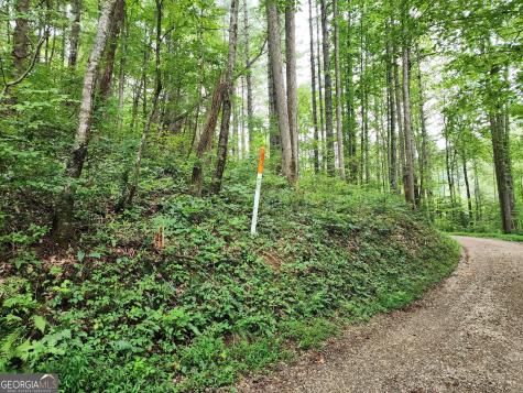 Tract 2a Poplar Cove Trail Suches GA 30572