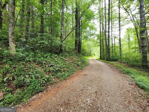 Tract 2a Poplar Cove Trail Suches GA 30572