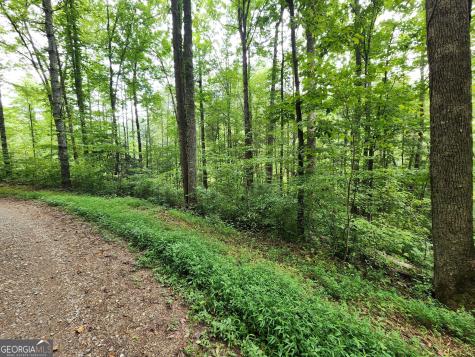 Tract 2a Poplar Cove Trail Suches GA 30572