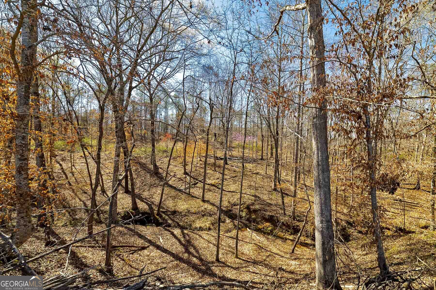 Lot 7 Mayfield Road Flovilla GA 30216
