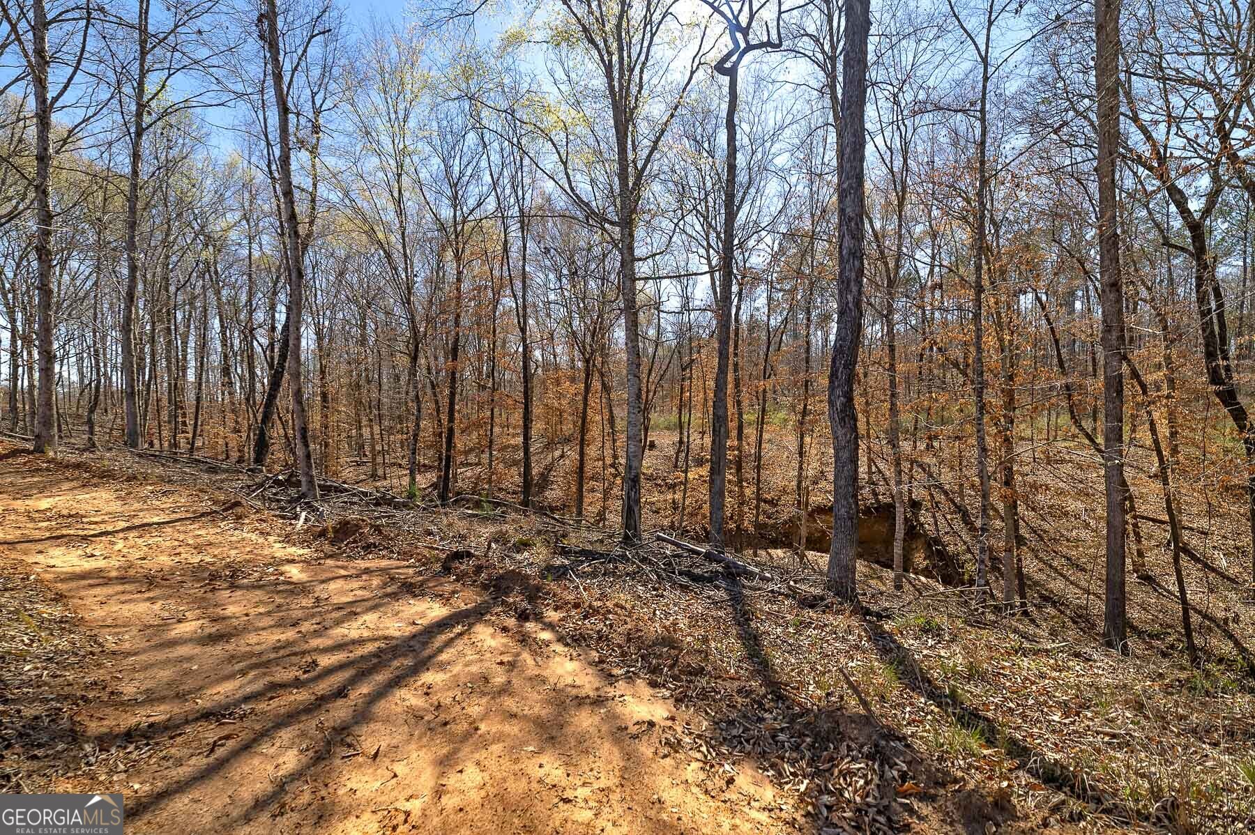 Lot 7 Mayfield Road Flovilla GA 30216