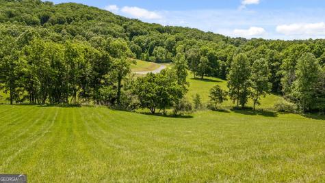 Lot 11 Squirrel Hunting Road Morganton GA 30560