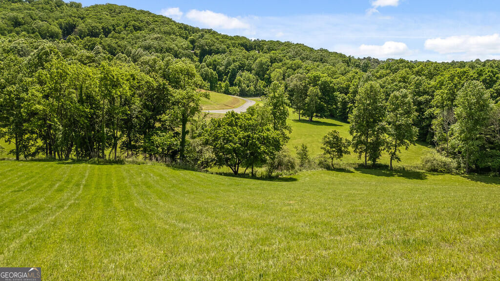 Lot 11 Squirrel Hunting Road Morganton GA 30560