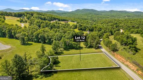 Lot 11 Squirrel Hunting Road Morganton GA 30560