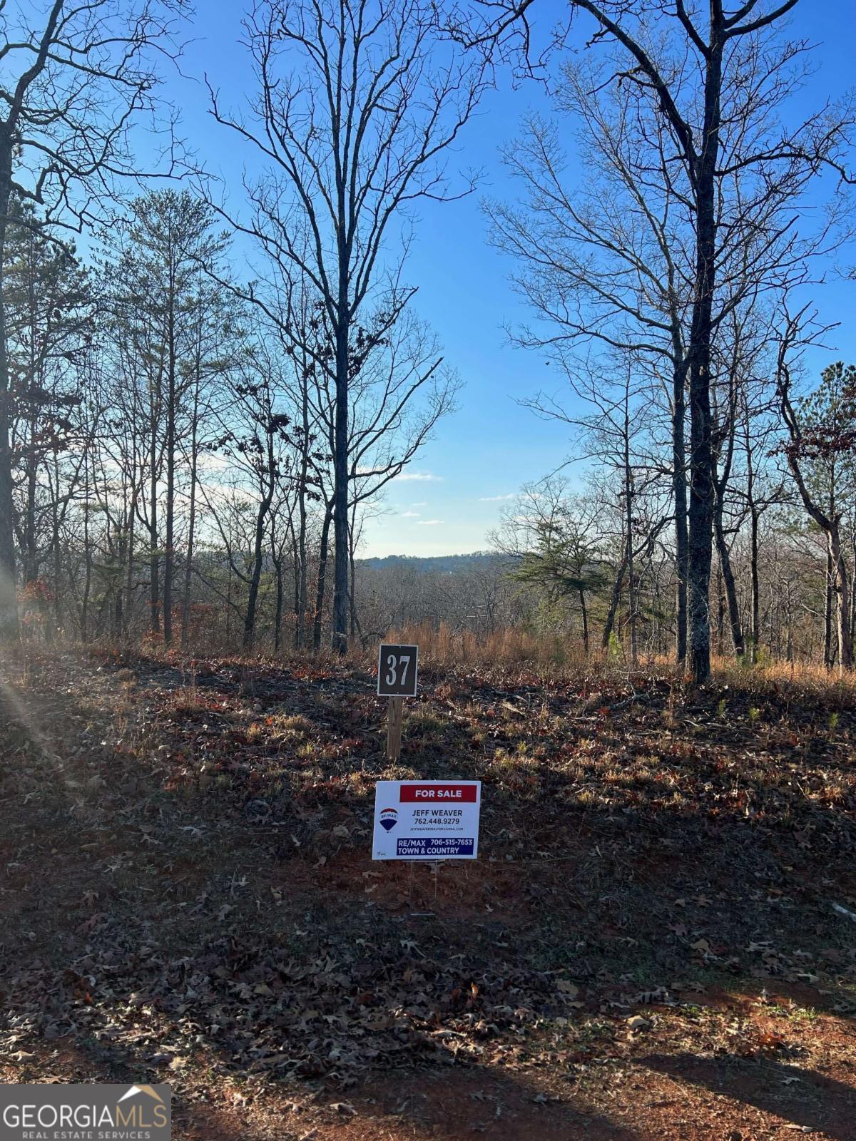 37 Blalock Mountain Road Ellijay GA 30540