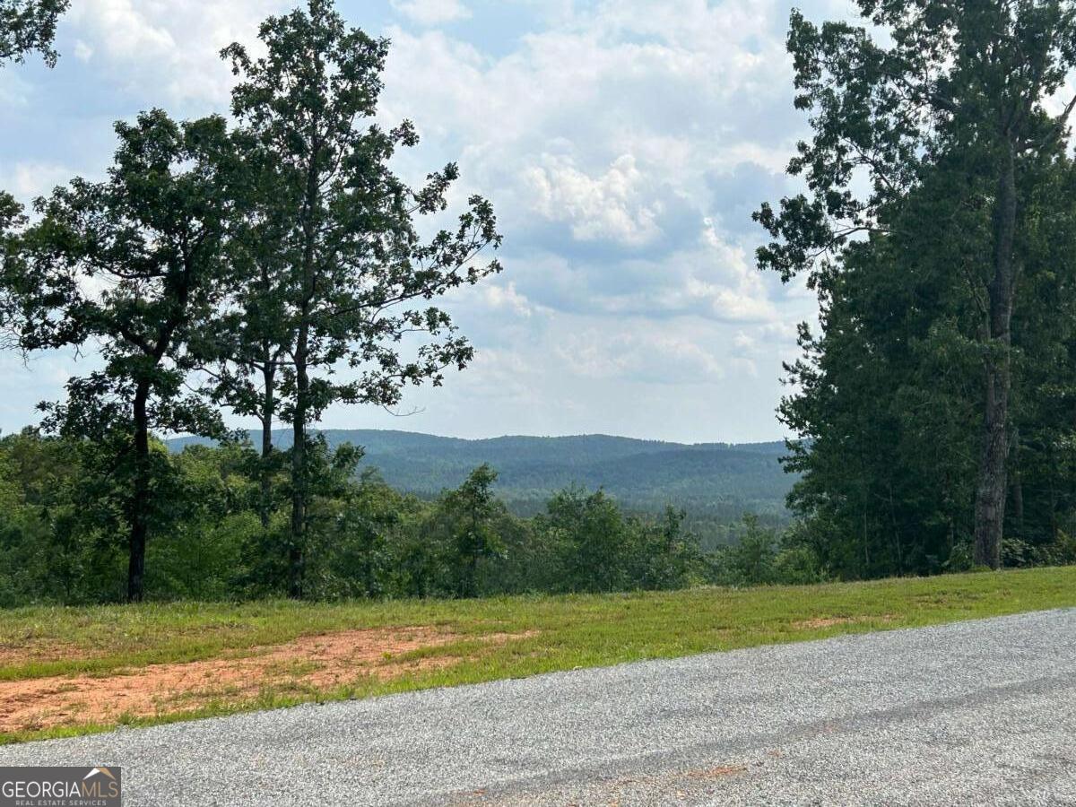 37 Blalock Mountain Road Ellijay GA 30540