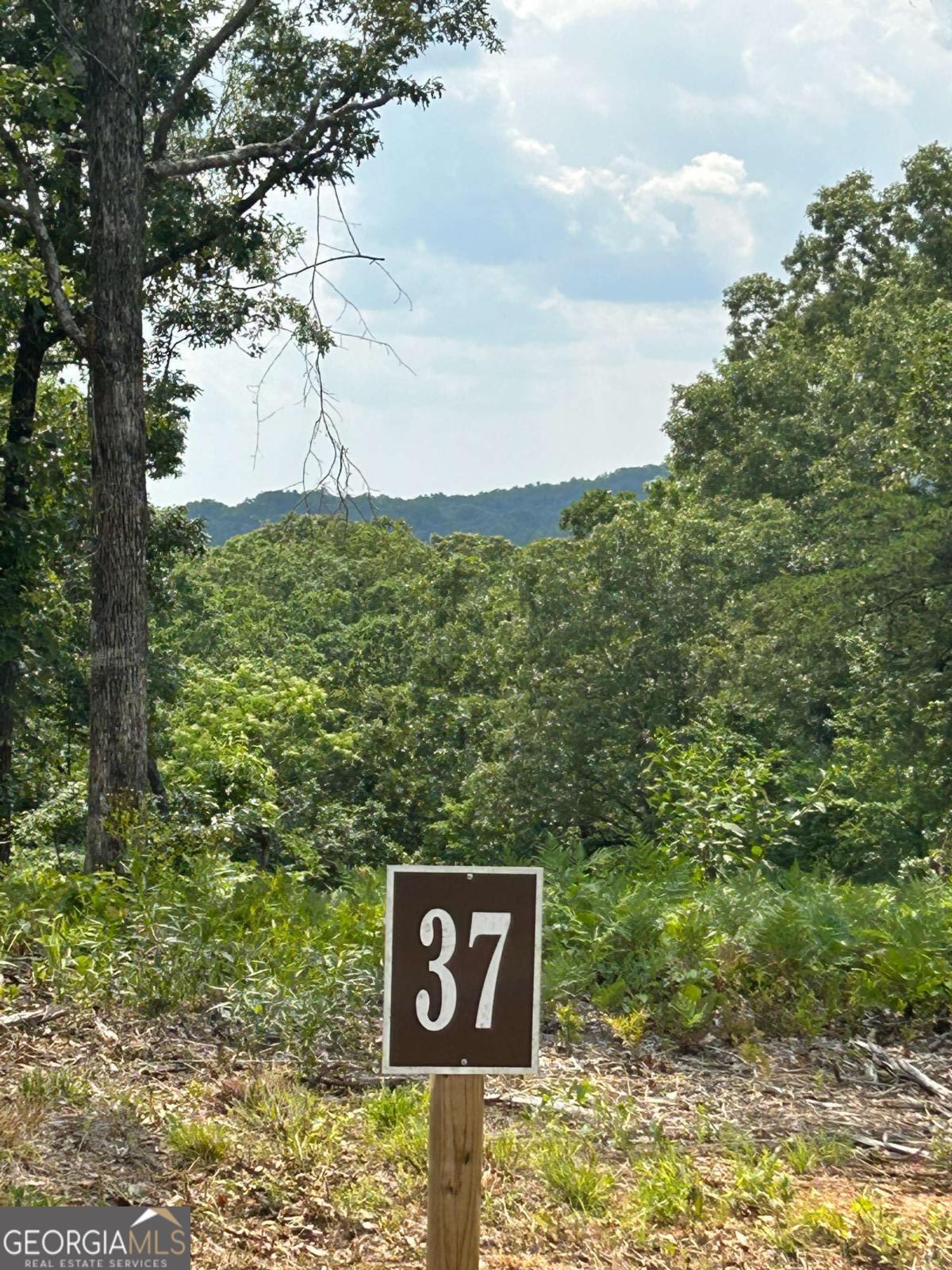 37 Blalock Mountain Road Ellijay GA 30540