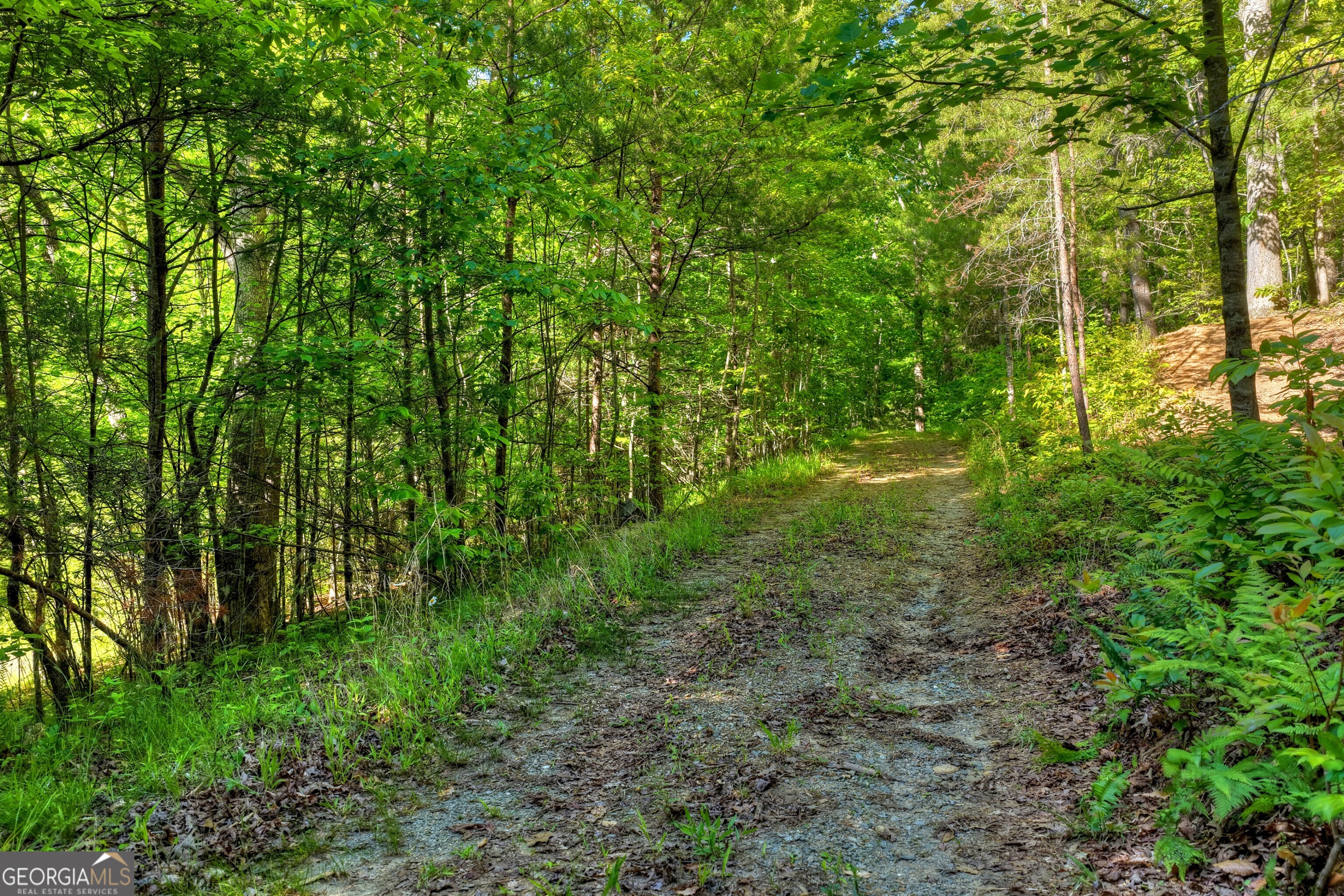 8 Ac Mcnelley Road Morganton GA 30560
