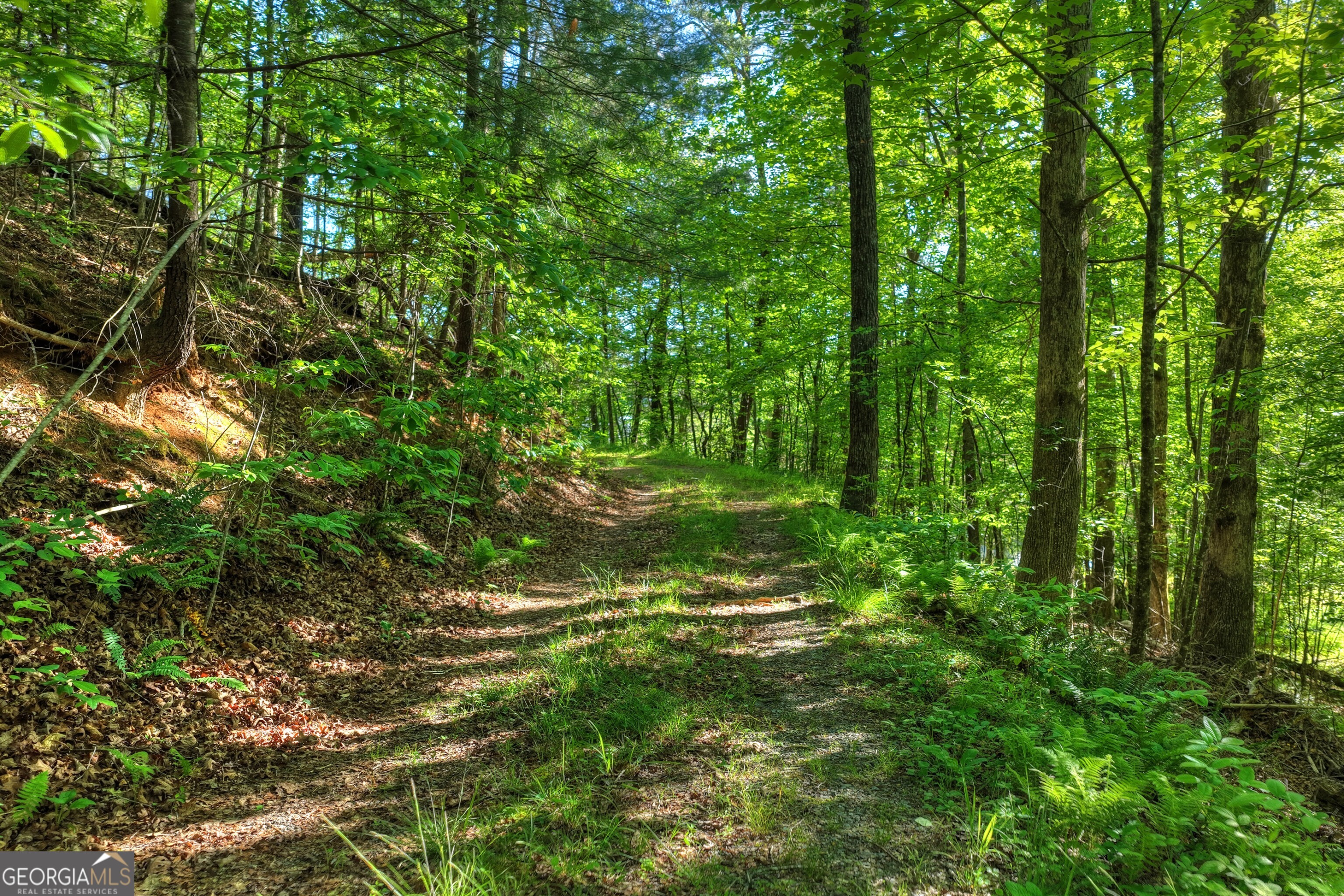 8 Ac Mcnelley Road Morganton GA 30560