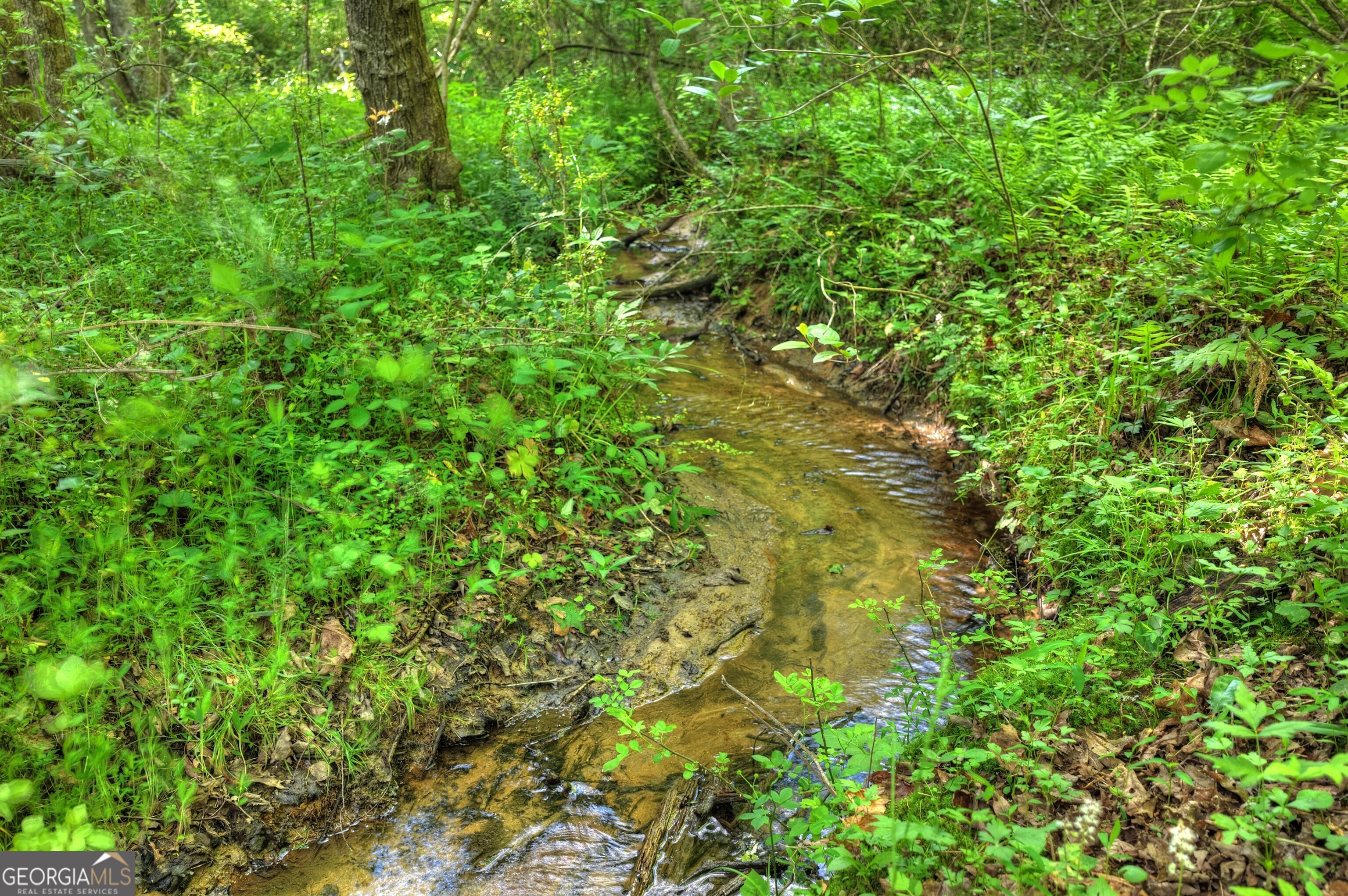 8 Ac Mcnelley Road Morganton GA 30560
