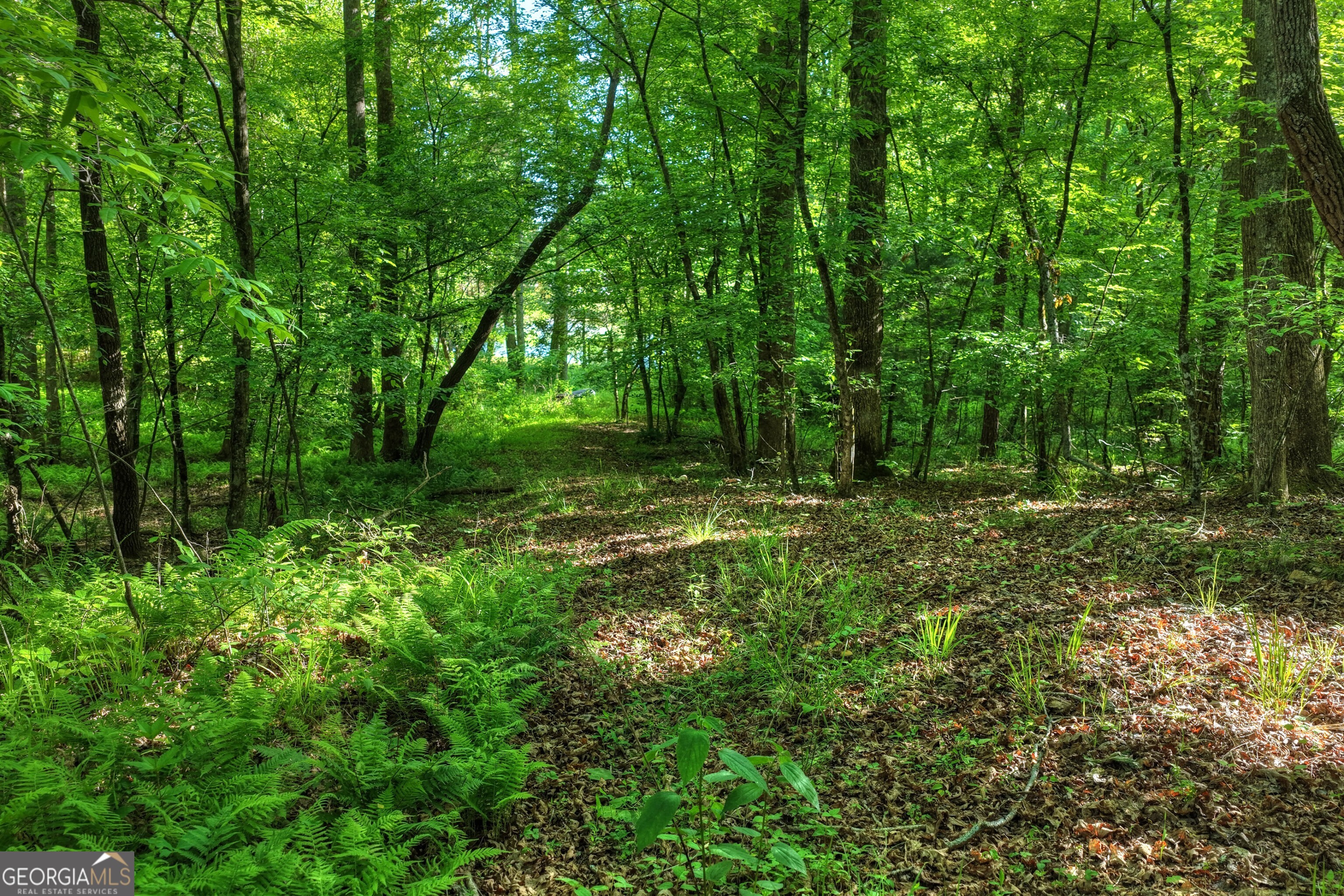 8 Ac Mcnelley Road Morganton GA 30560