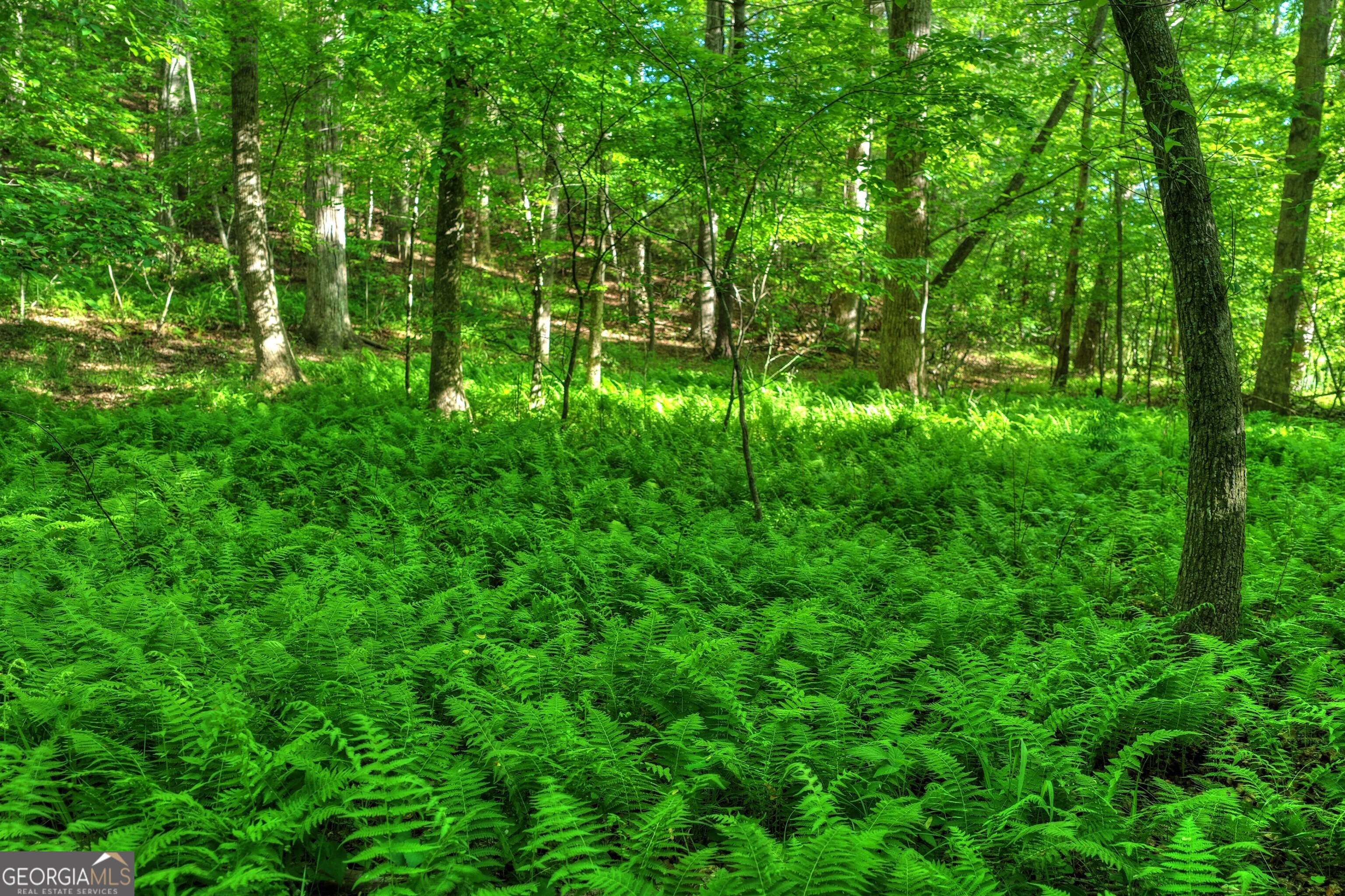8 Ac Mcnelley Road Morganton GA 30560