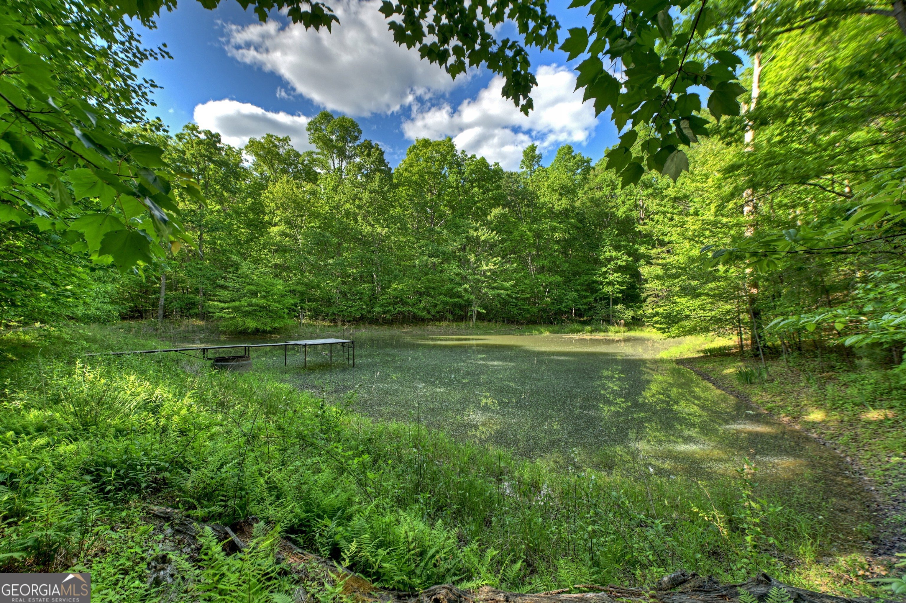 8 Ac Mcnelley Road Morganton GA 30560
