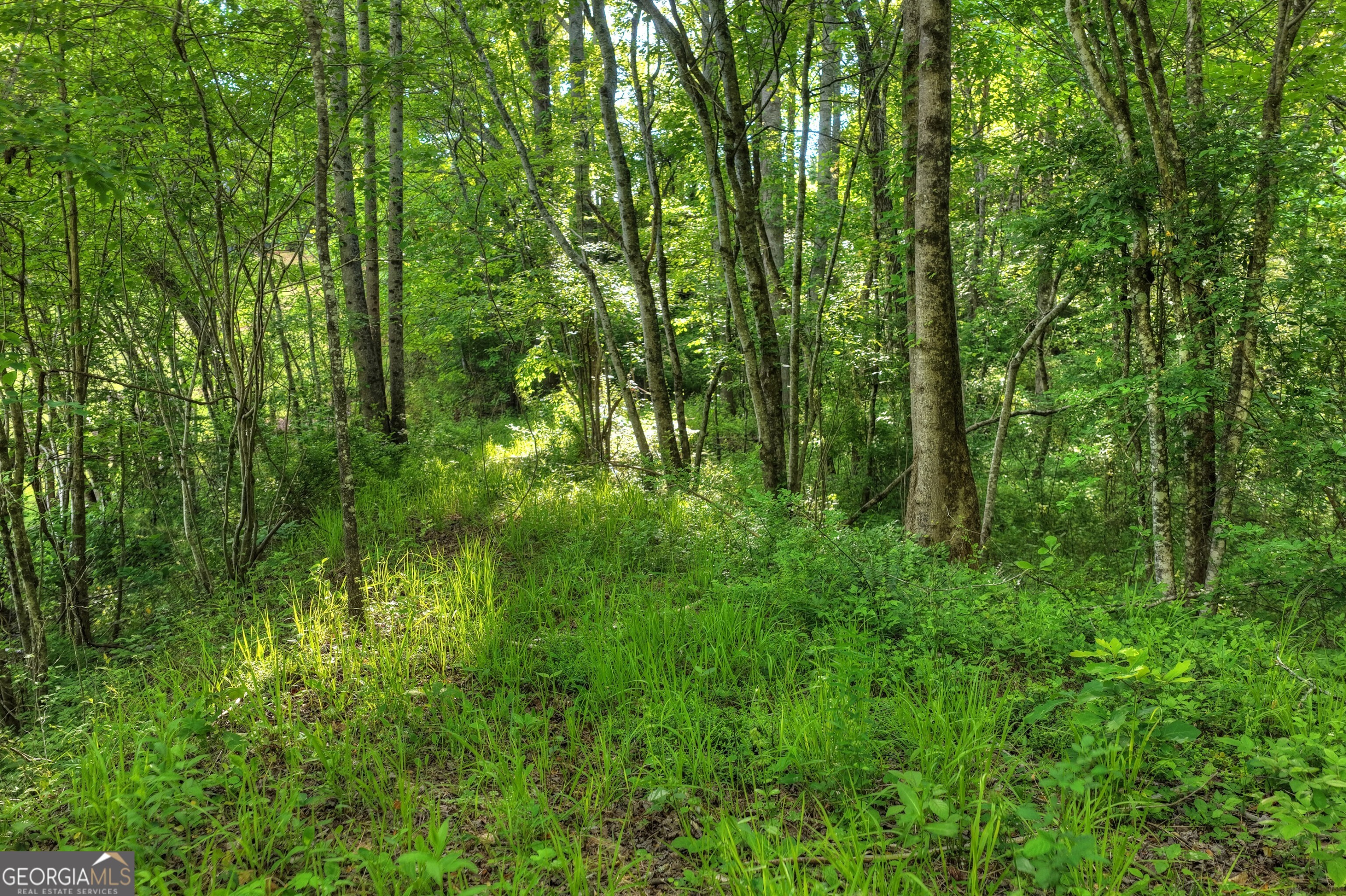 8 Ac Mcnelley Road Morganton GA 30560