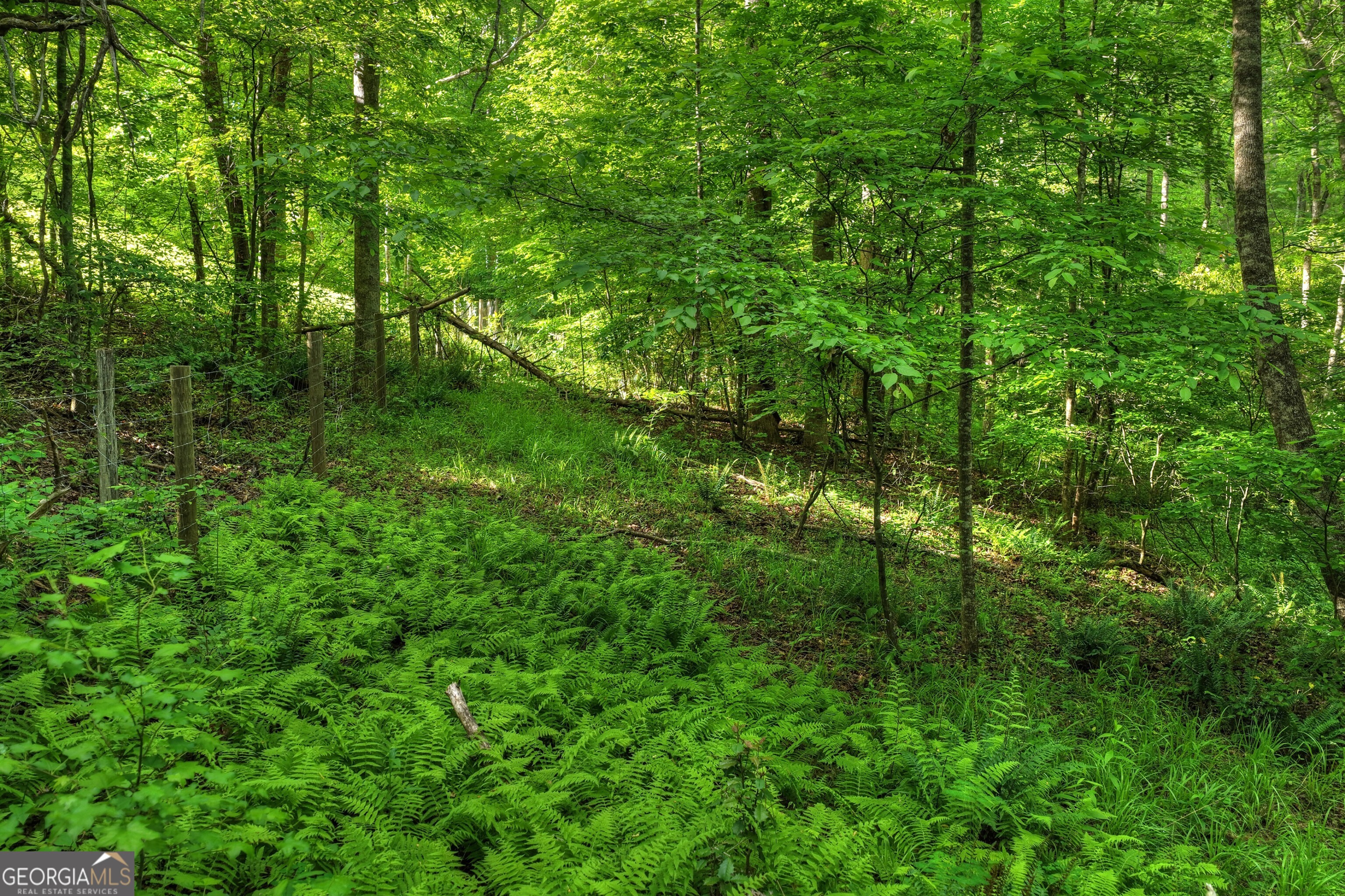 8 Ac Mcnelley Road Morganton GA 30560
