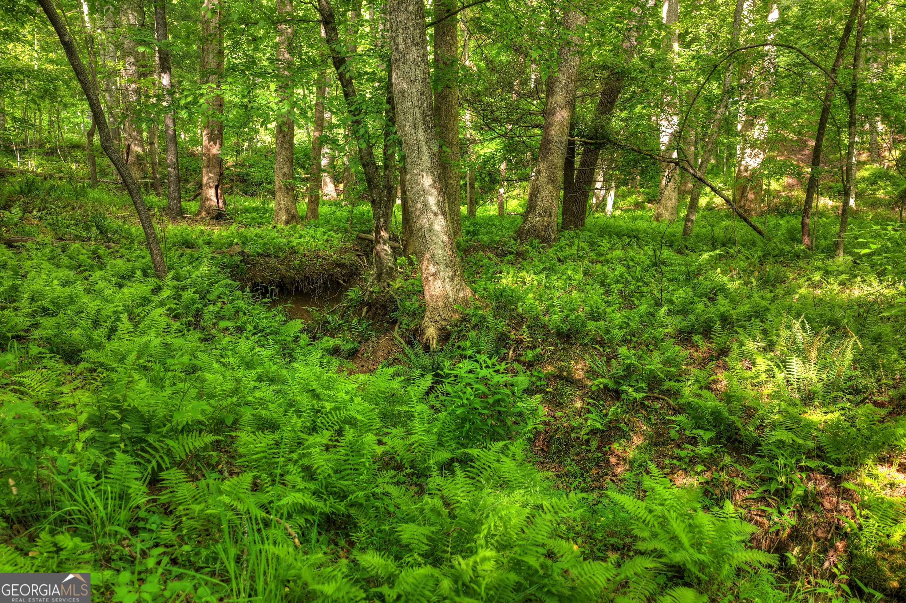 8 Ac Mcnelley Road Morganton GA 30560