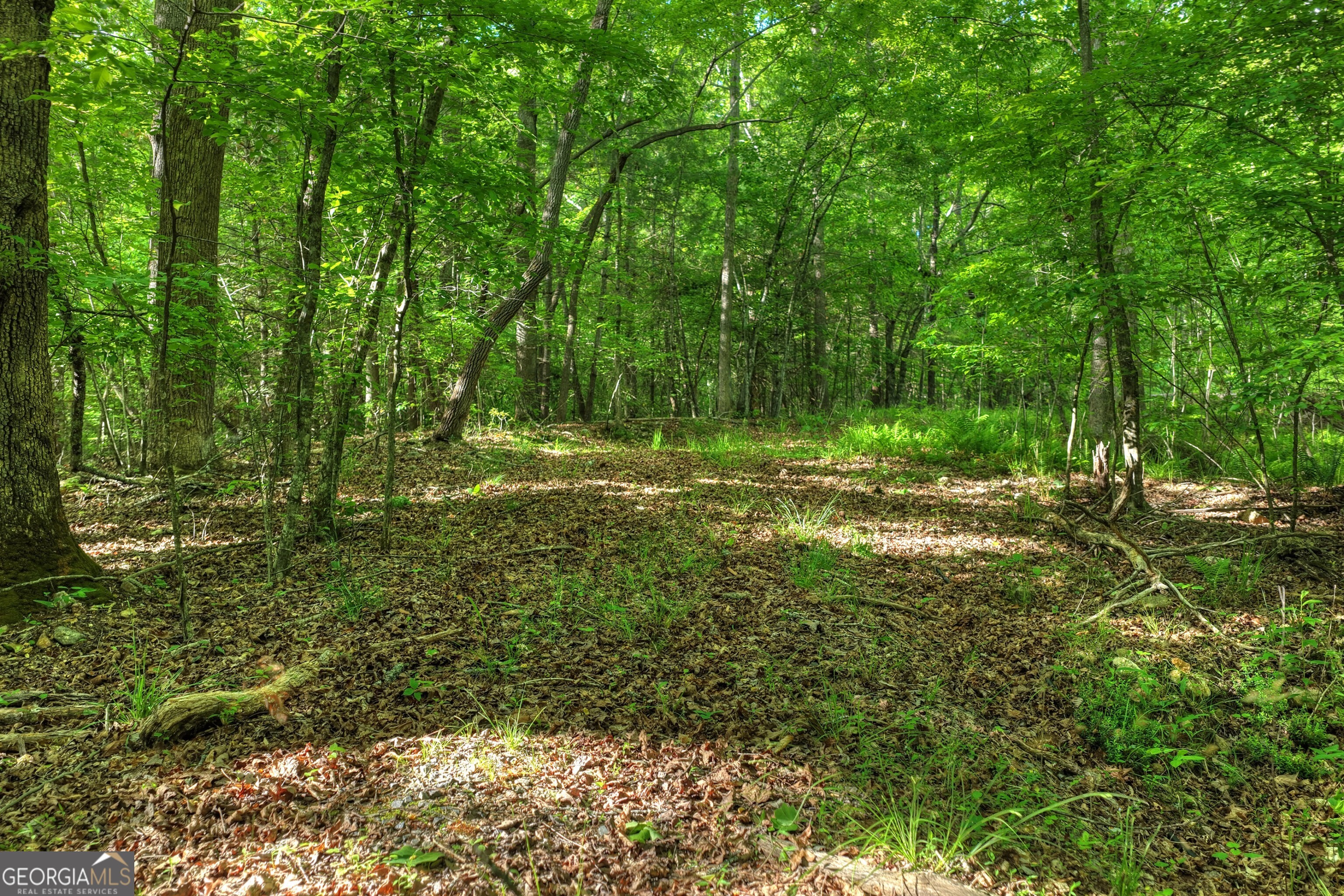 8 Ac Mcnelley Road Morganton GA 30560