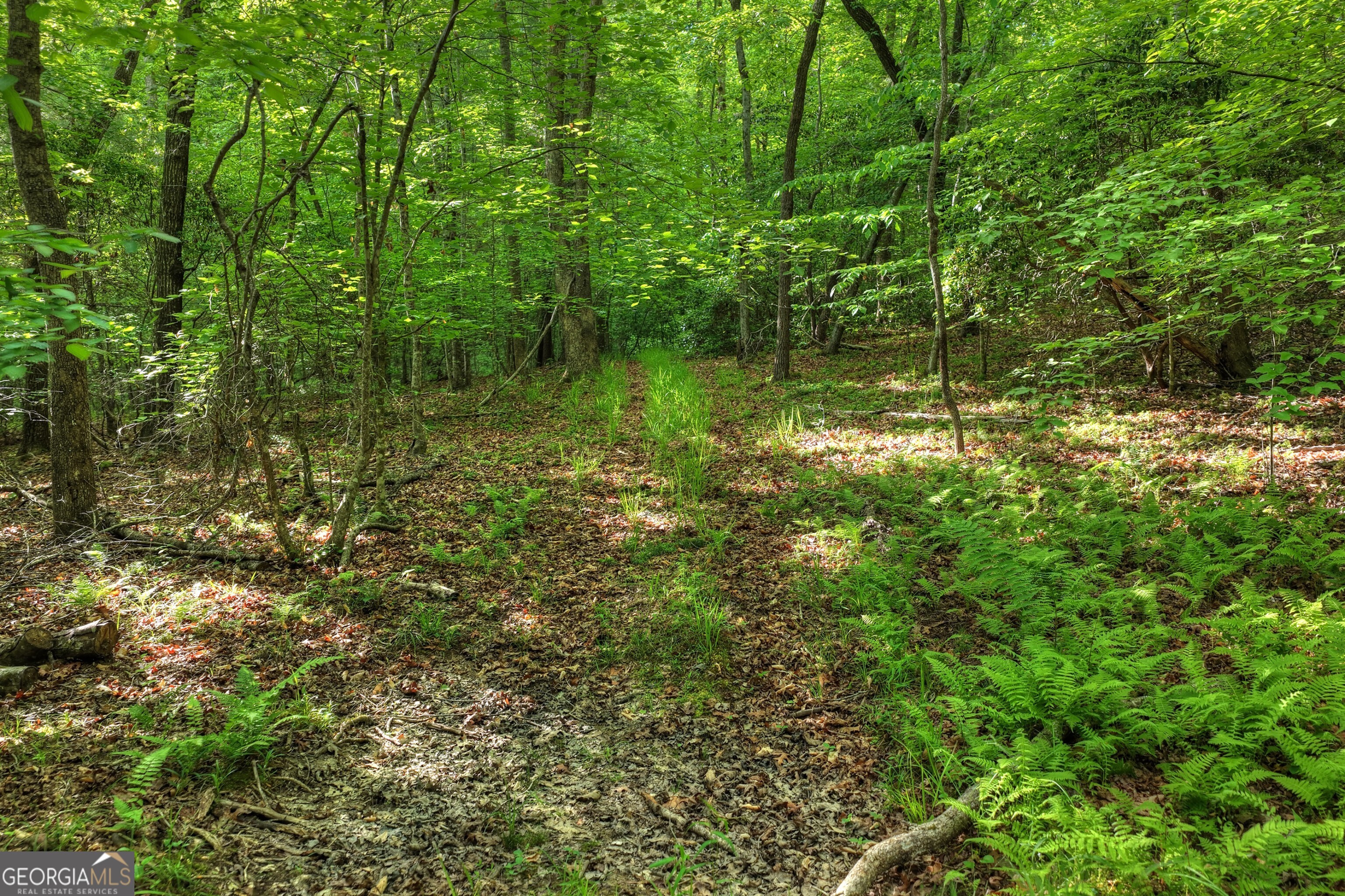 8 Ac Mcnelley Road Morganton GA 30560