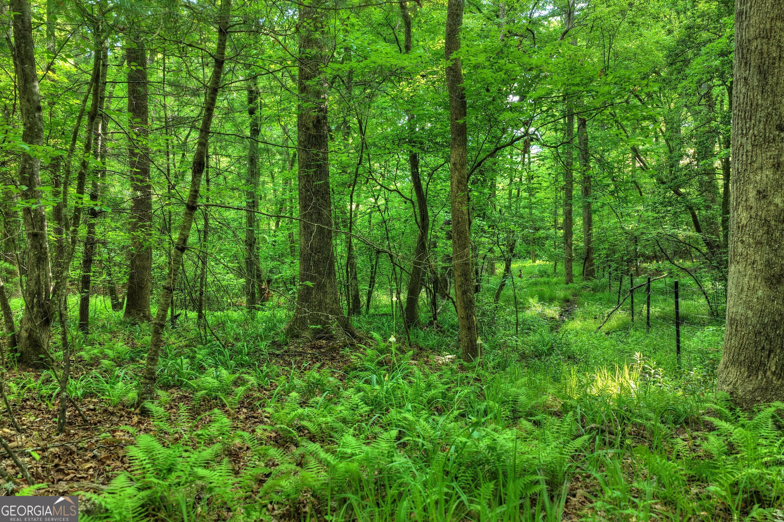 8 Ac Mcnelley Road Morganton GA 30560