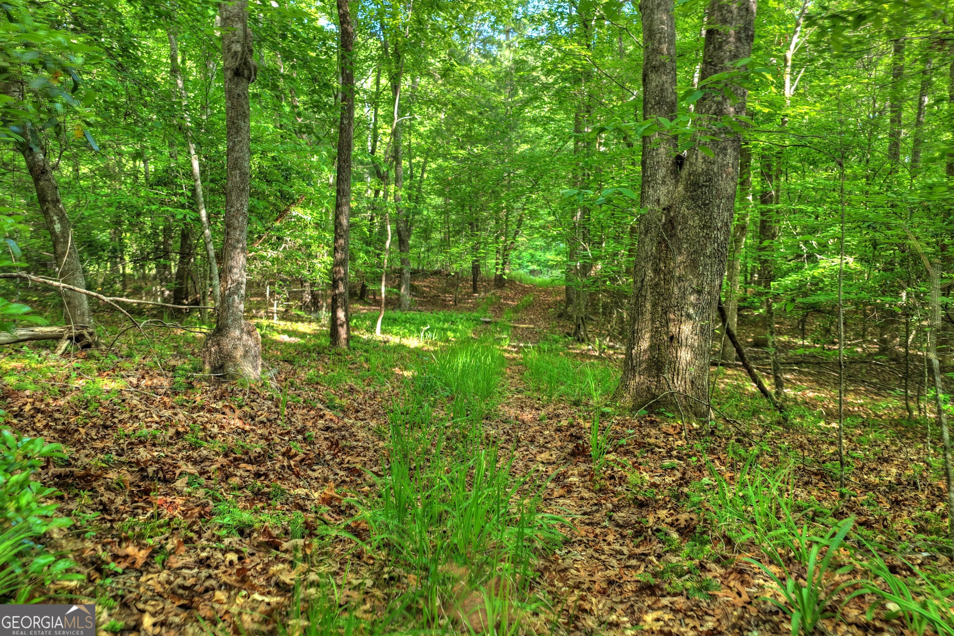 8 Ac Mcnelley Road Morganton GA 30560