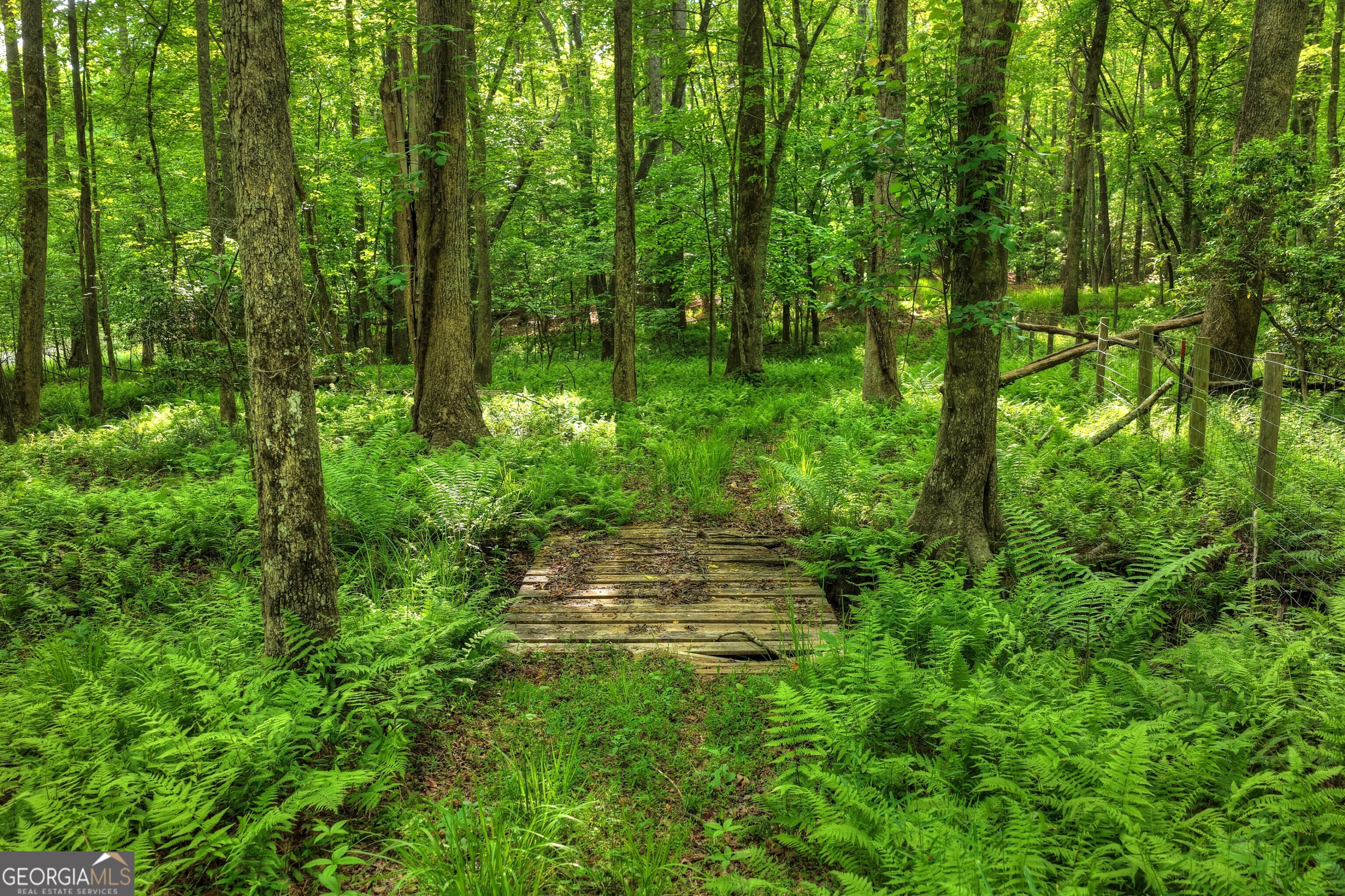 8 Ac Mcnelley Road Morganton GA 30560