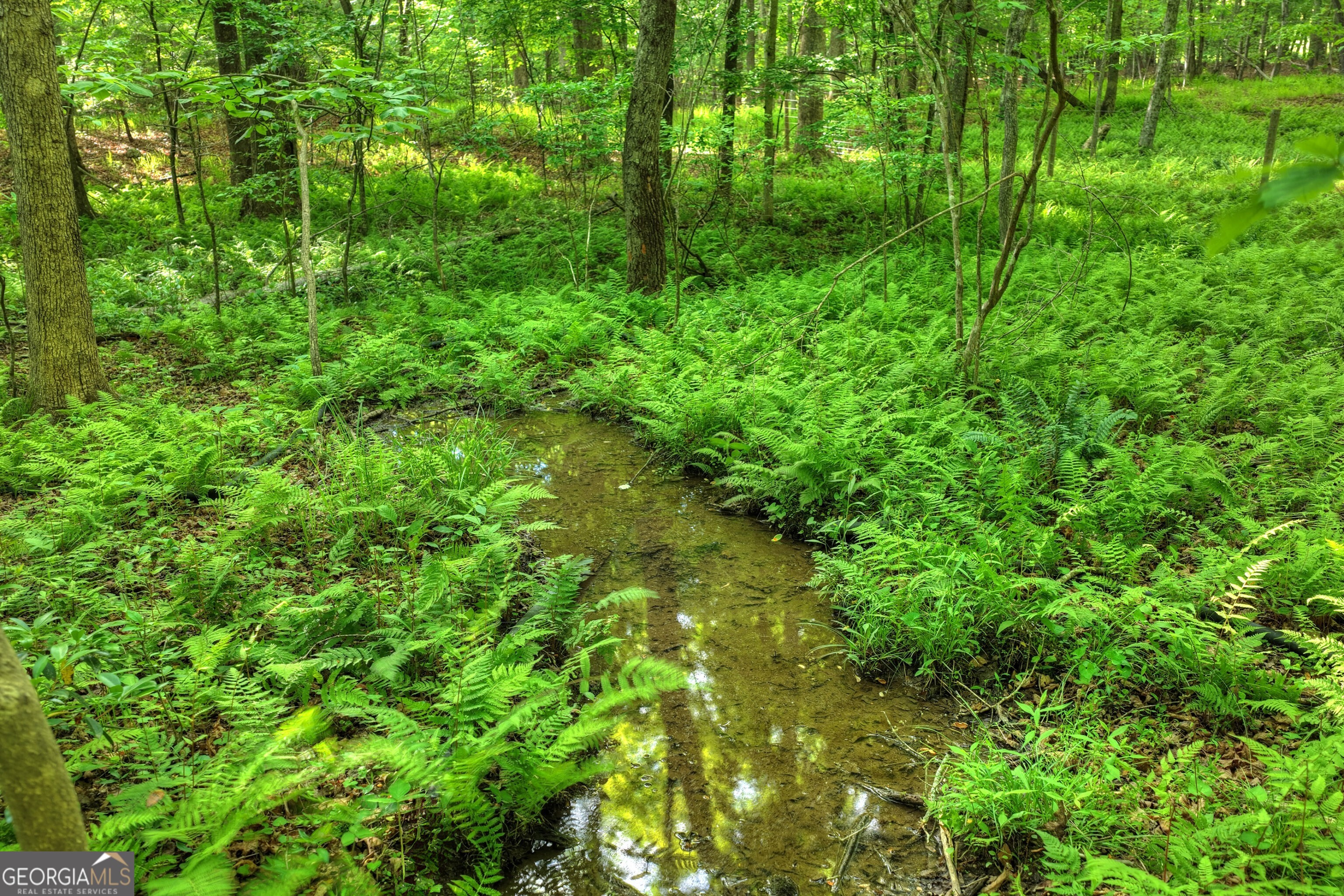 8 Ac Mcnelley Road Morganton GA 30560