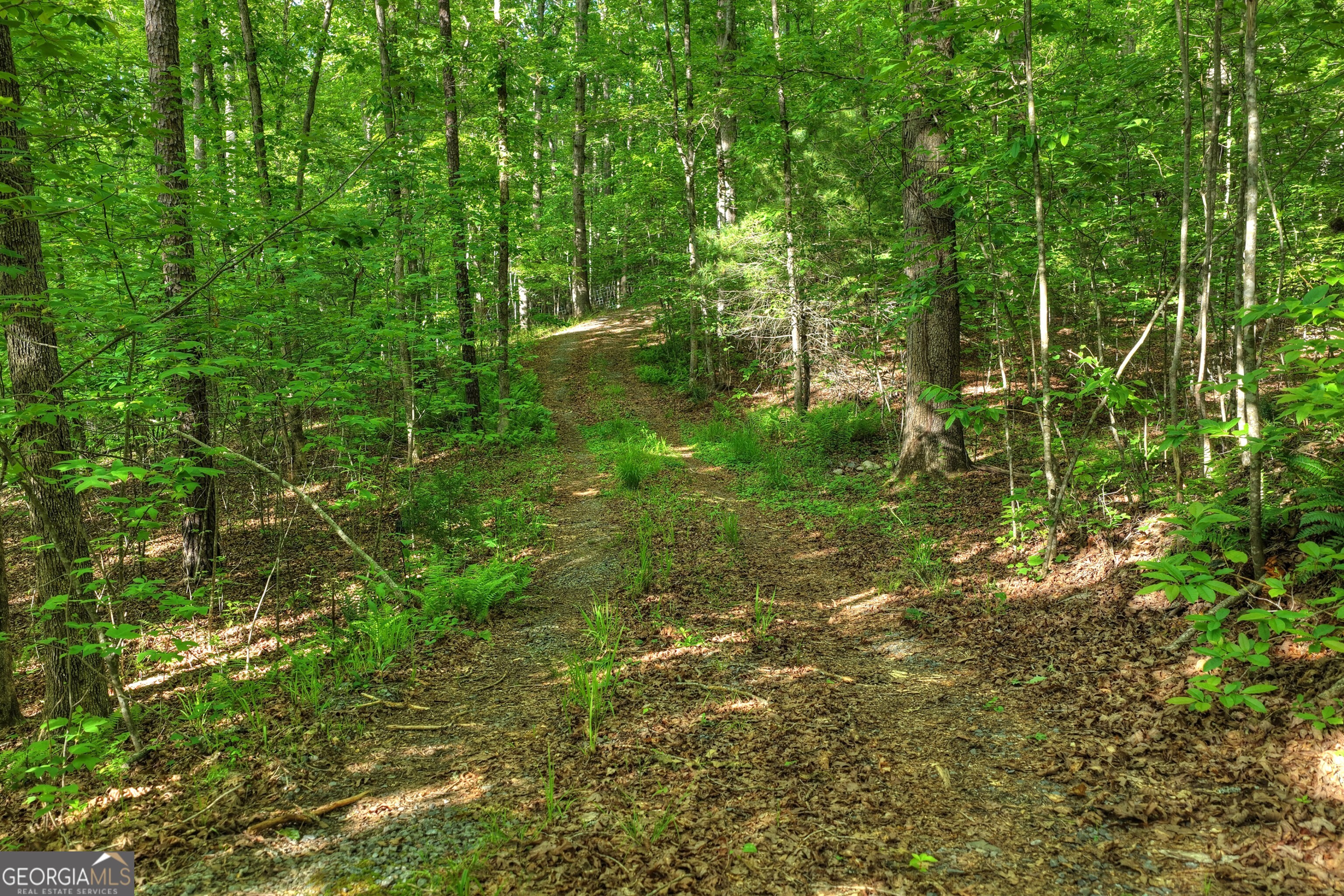 8 Ac Mcnelley Road Morganton GA 30560