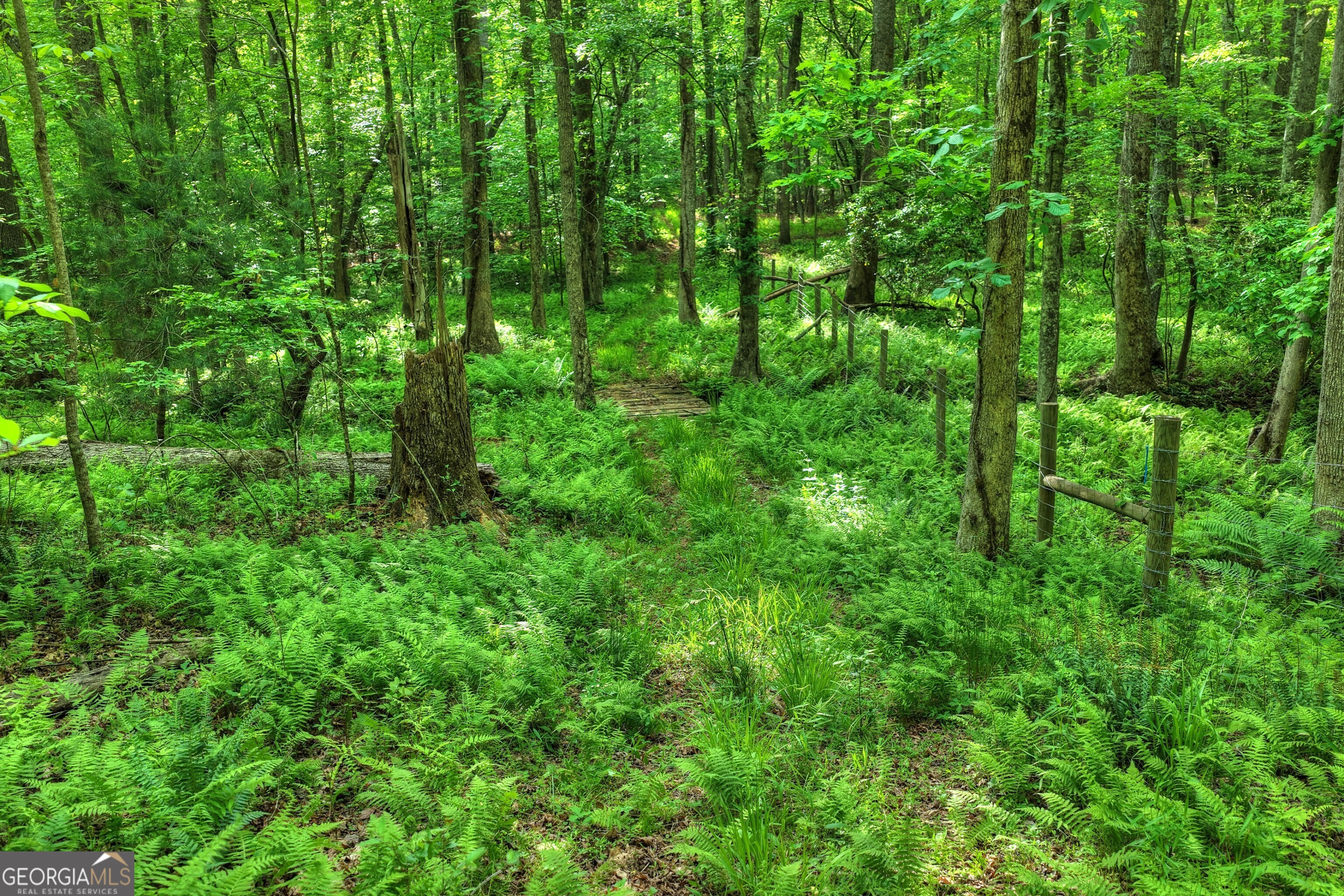8 Ac Mcnelley Road Morganton GA 30560