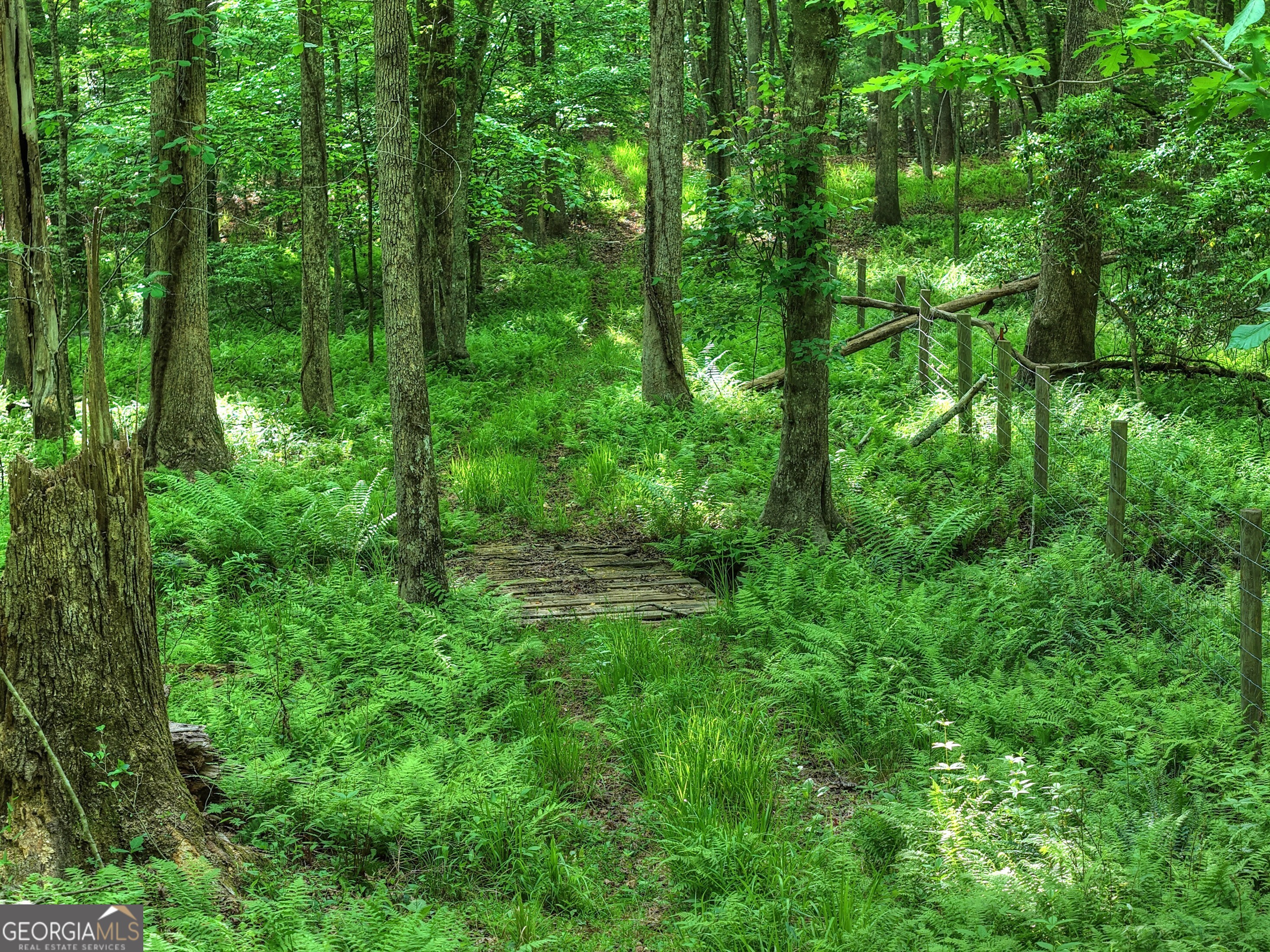 8 Ac Mcnelley Road Morganton GA 30560
