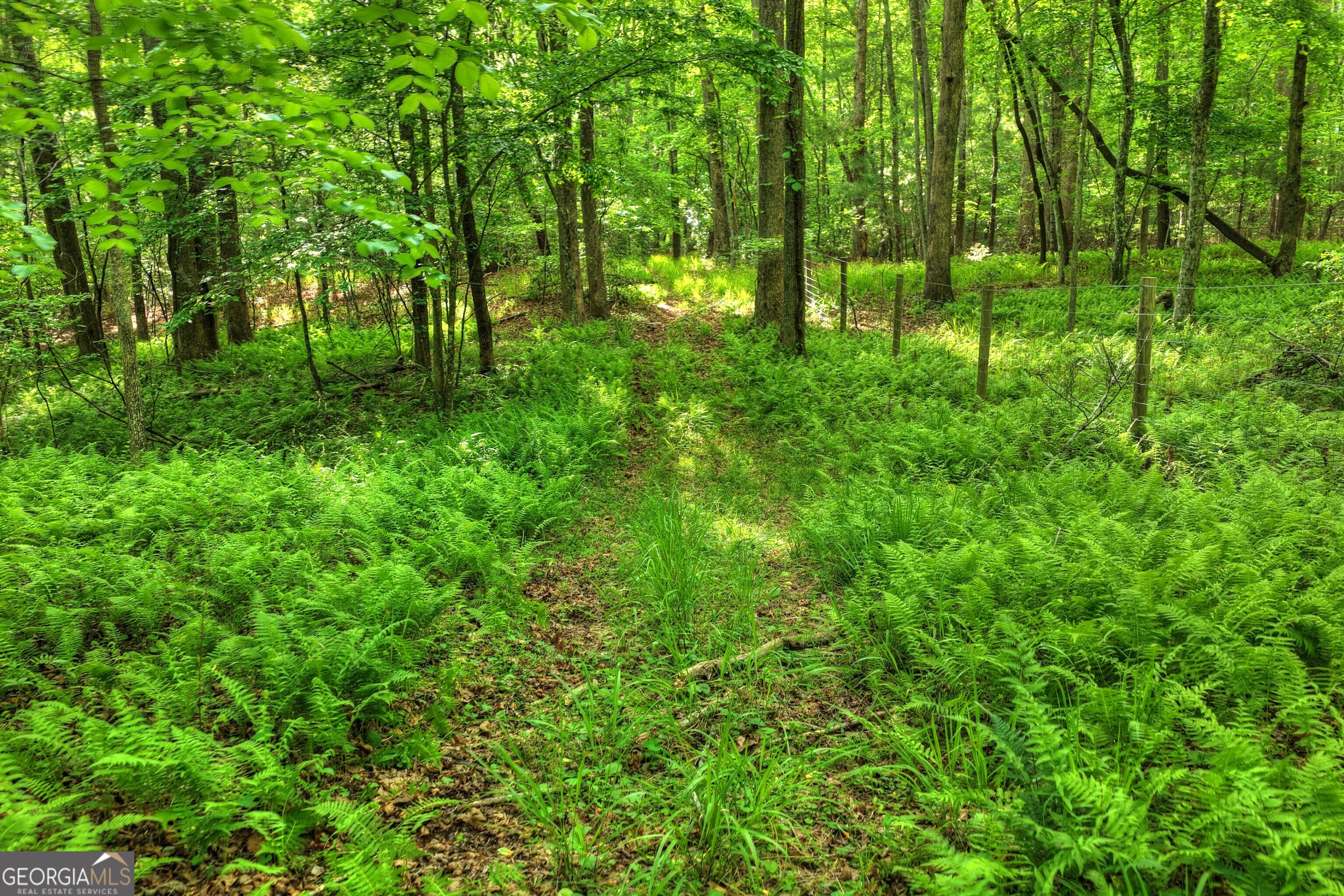 8 Ac Mcnelley Road Morganton GA 30560