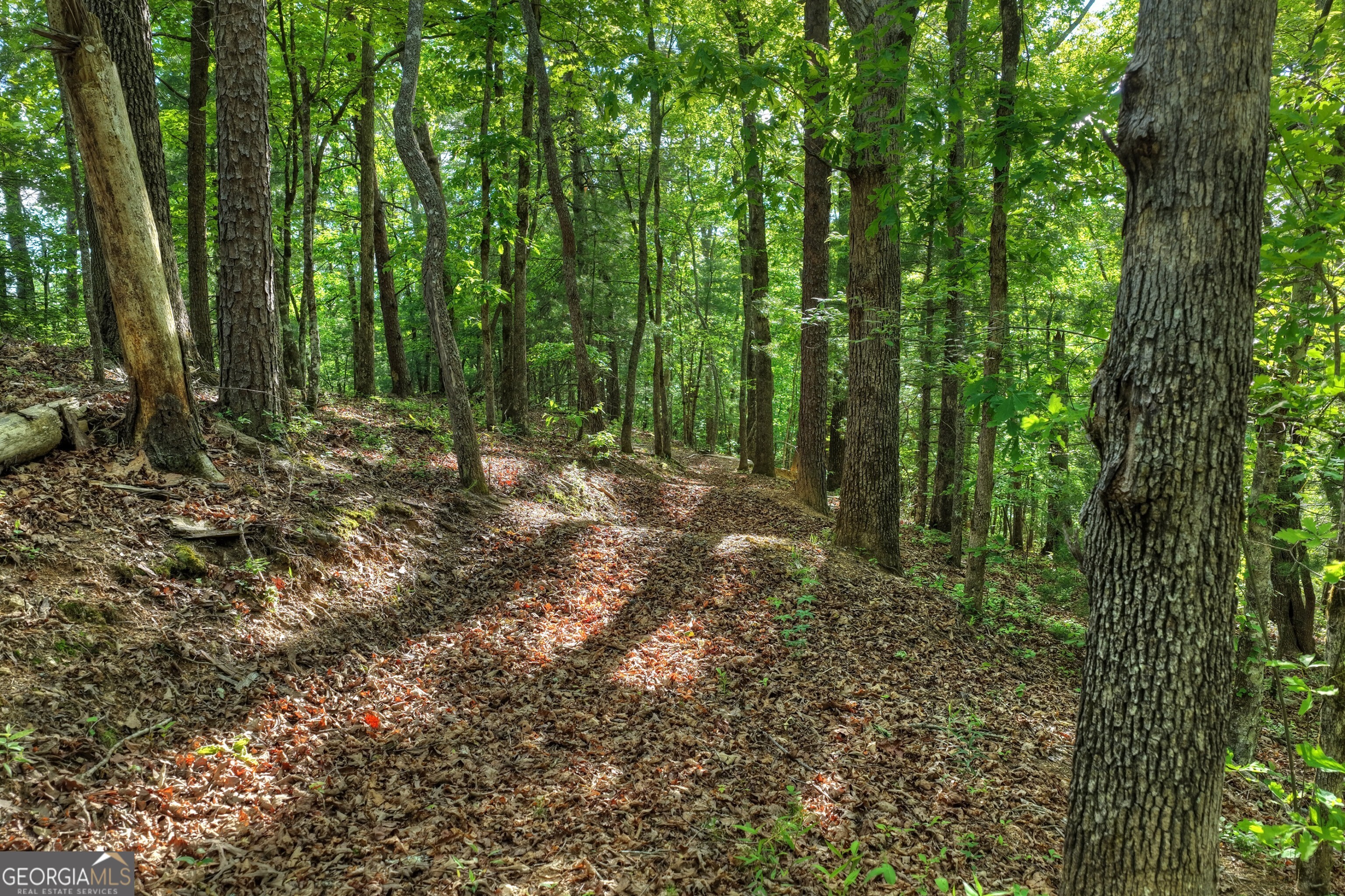 8 Ac Mcnelley Road Morganton GA 30560