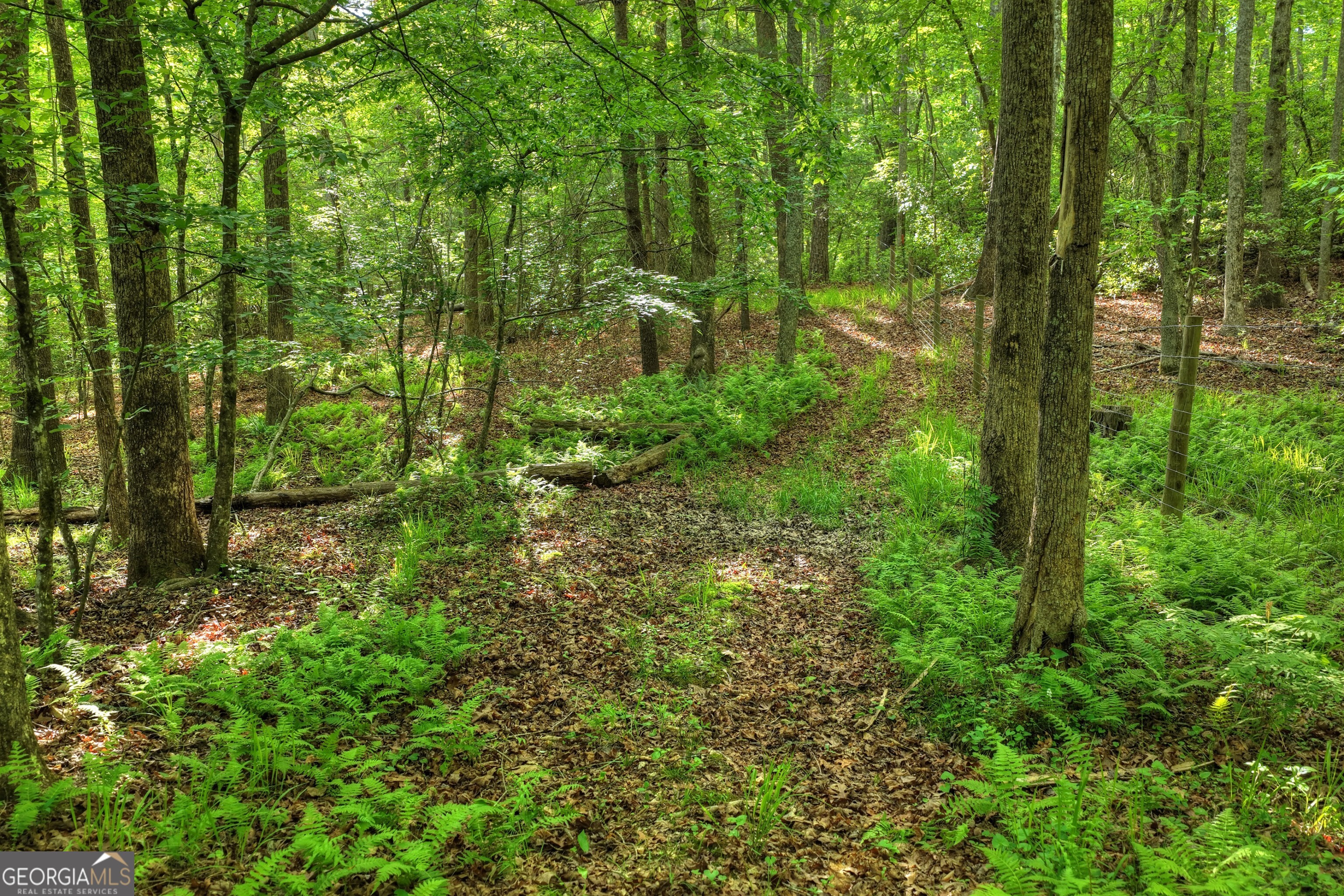 8 Ac Mcnelley Road Morganton GA 30560
