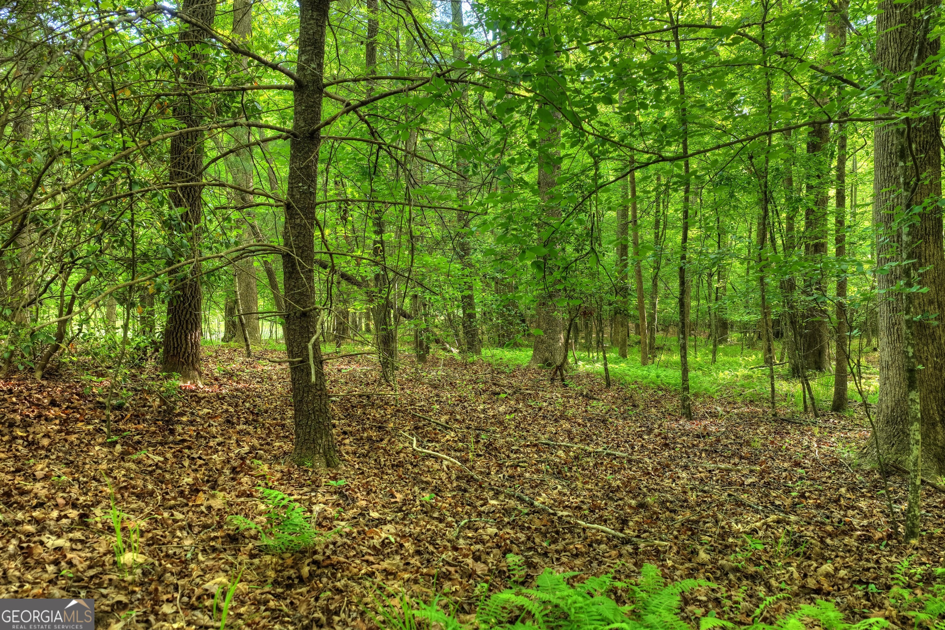 8 Ac Mcnelley Road Morganton GA 30560