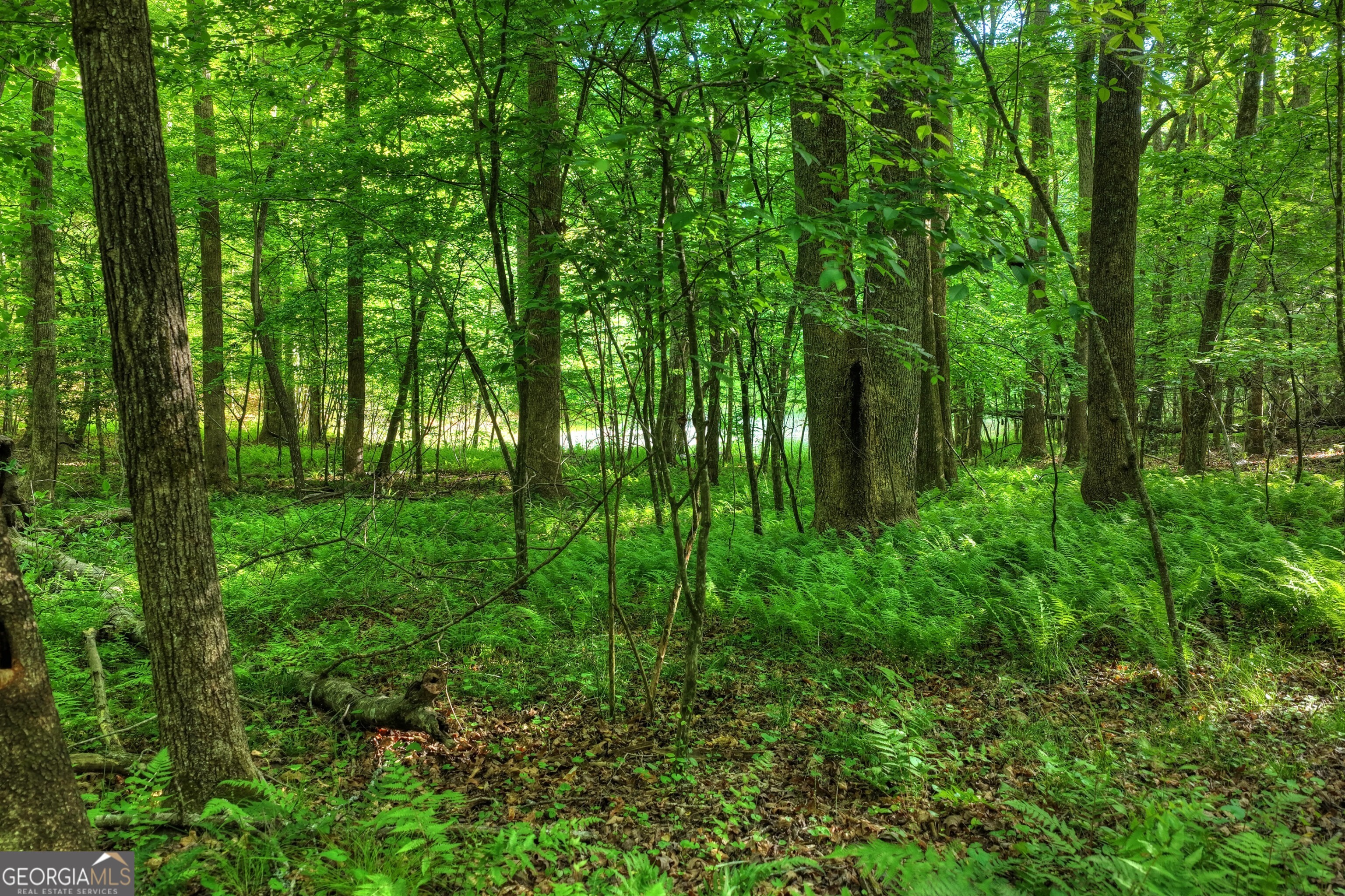 8 Ac Mcnelley Road Morganton GA 30560