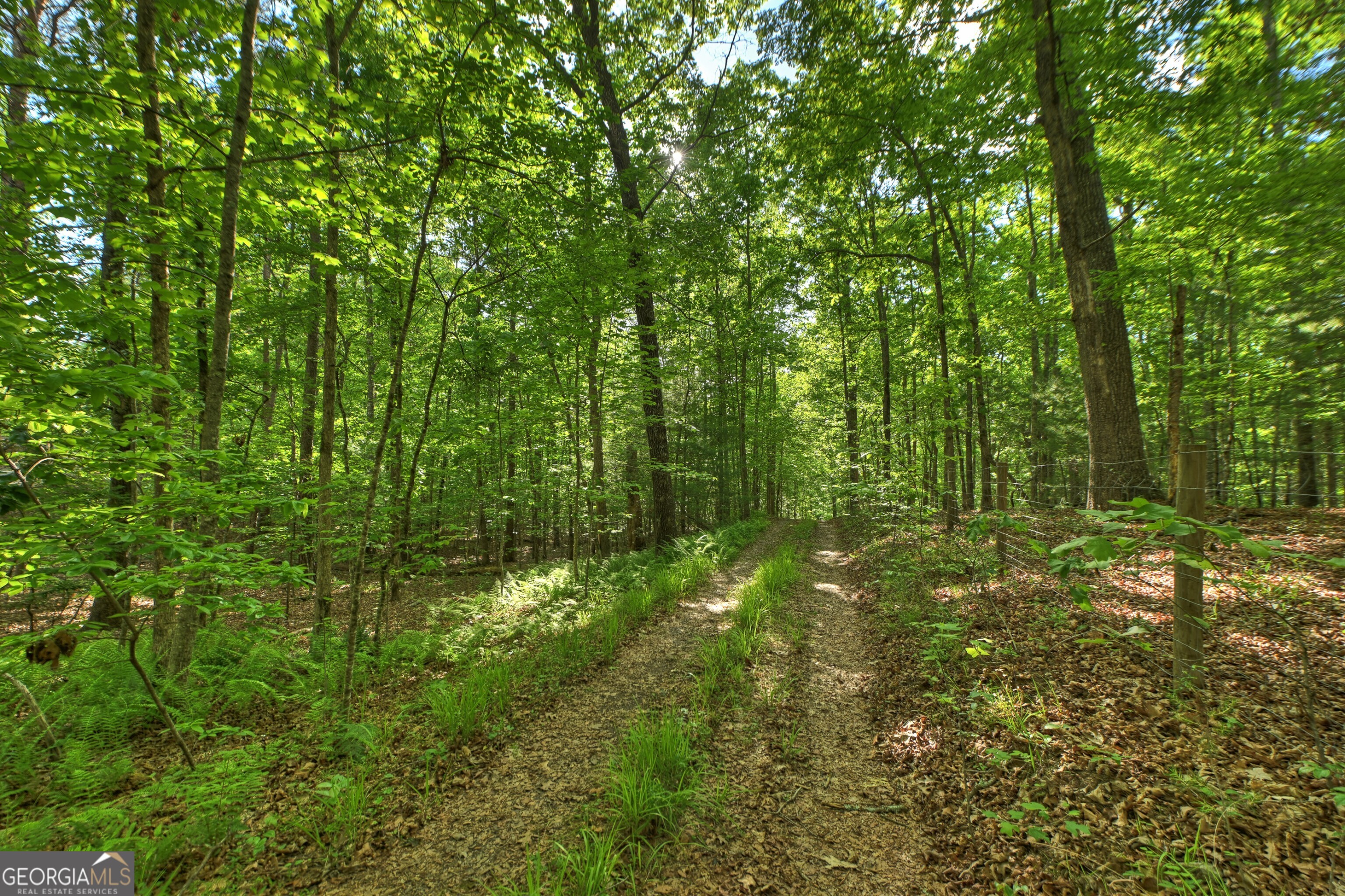 8 Ac Mcnelley Road Morganton GA 30560