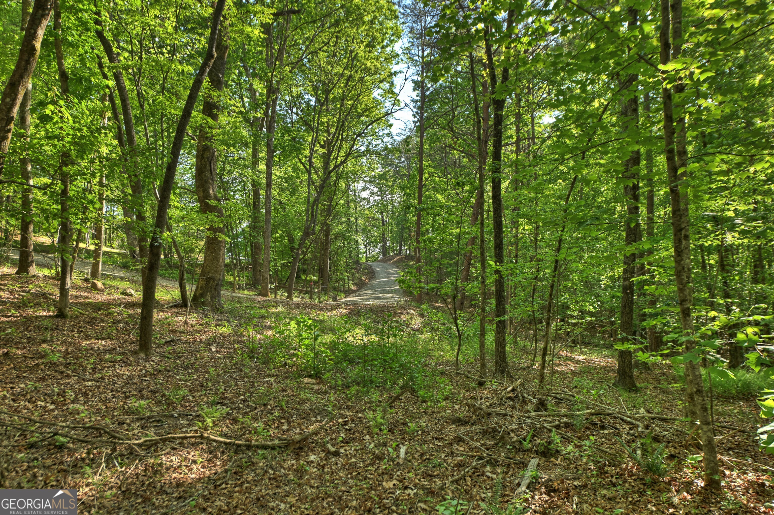 8 Ac Mcnelley Road Morganton GA 30560
