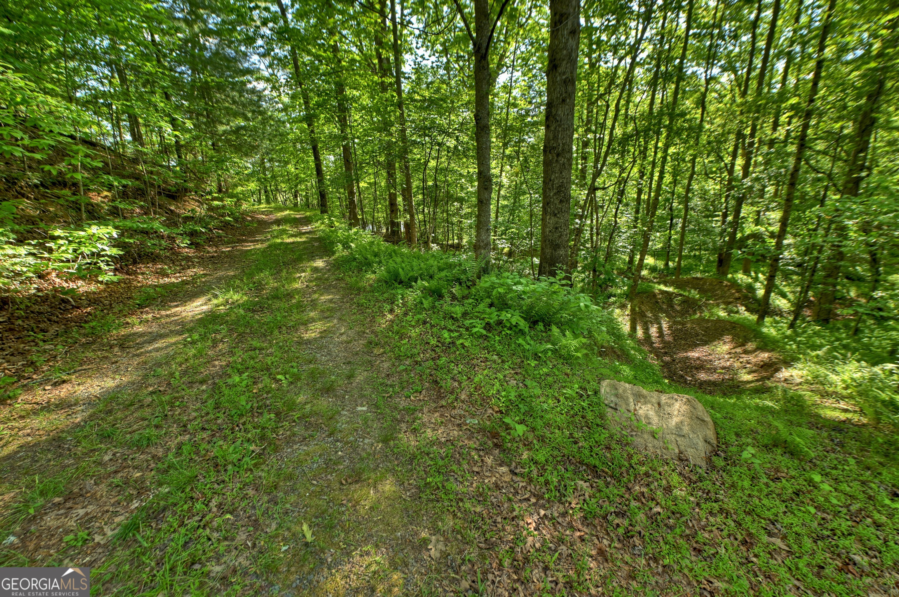 8 Ac Mcnelley Road Morganton GA 30560