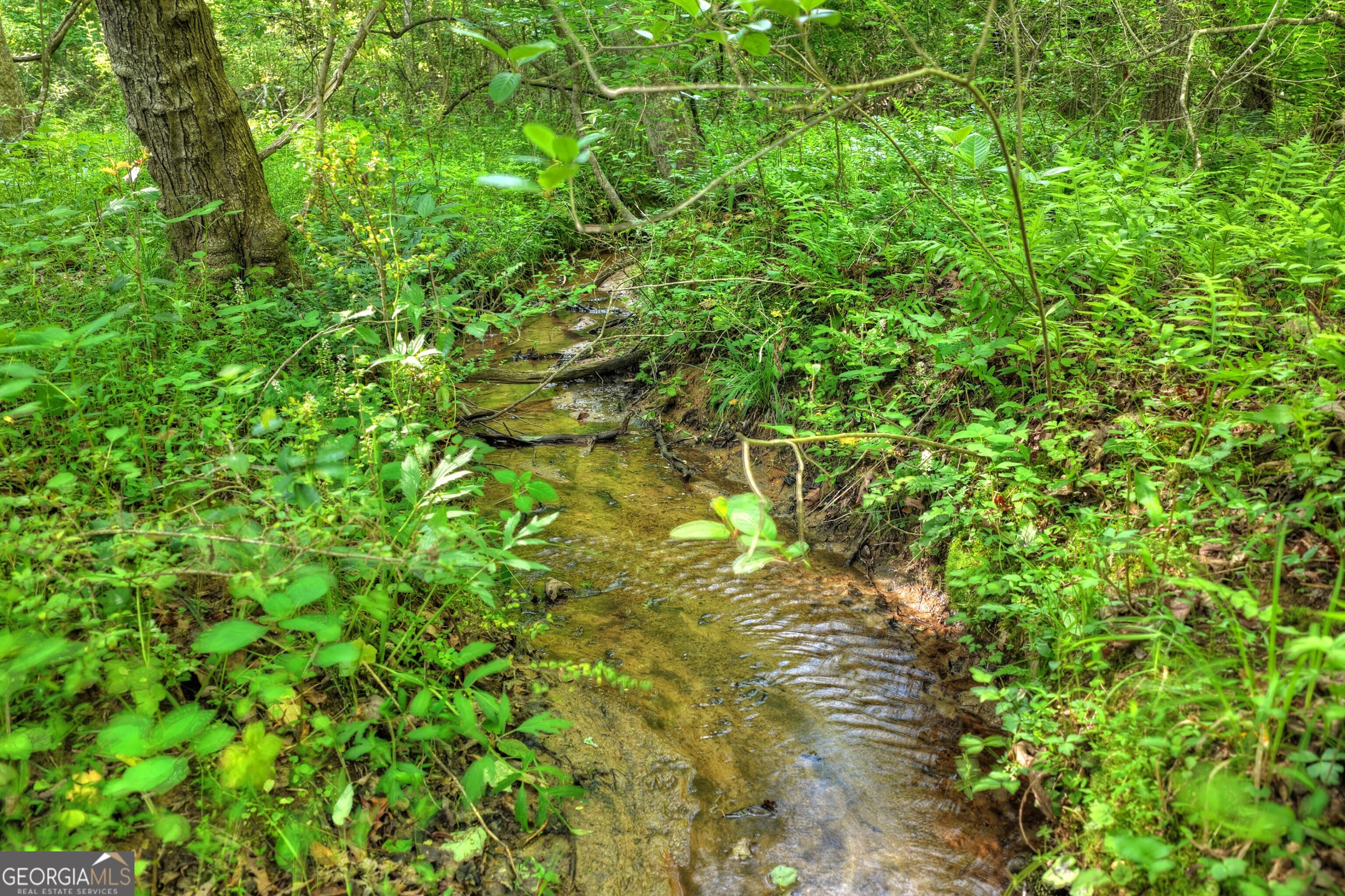8 Ac Mcnelley Road Morganton GA 30560