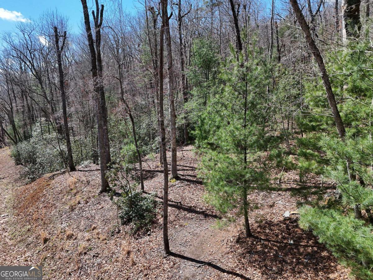Lot 9 Native Trail Blue Ridge GA 30513