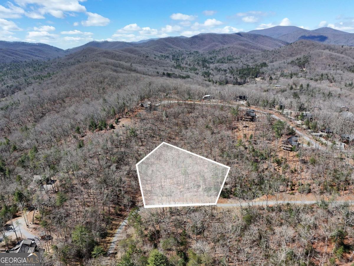 Lot 9 Native Trail Blue Ridge GA 30513