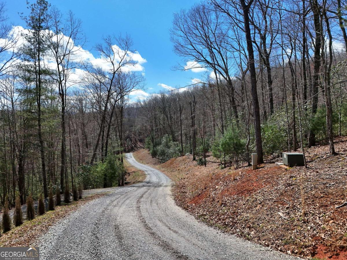 Lot 9 Native Trail Blue Ridge GA 30513