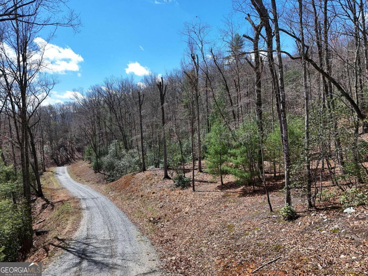 Lot 9 Native Trail Blue Ridge GA 30513
