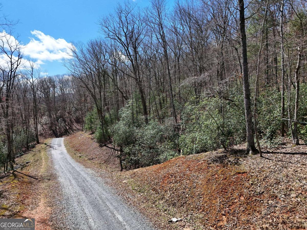 Lot 9 Native Trail Blue Ridge GA 30513