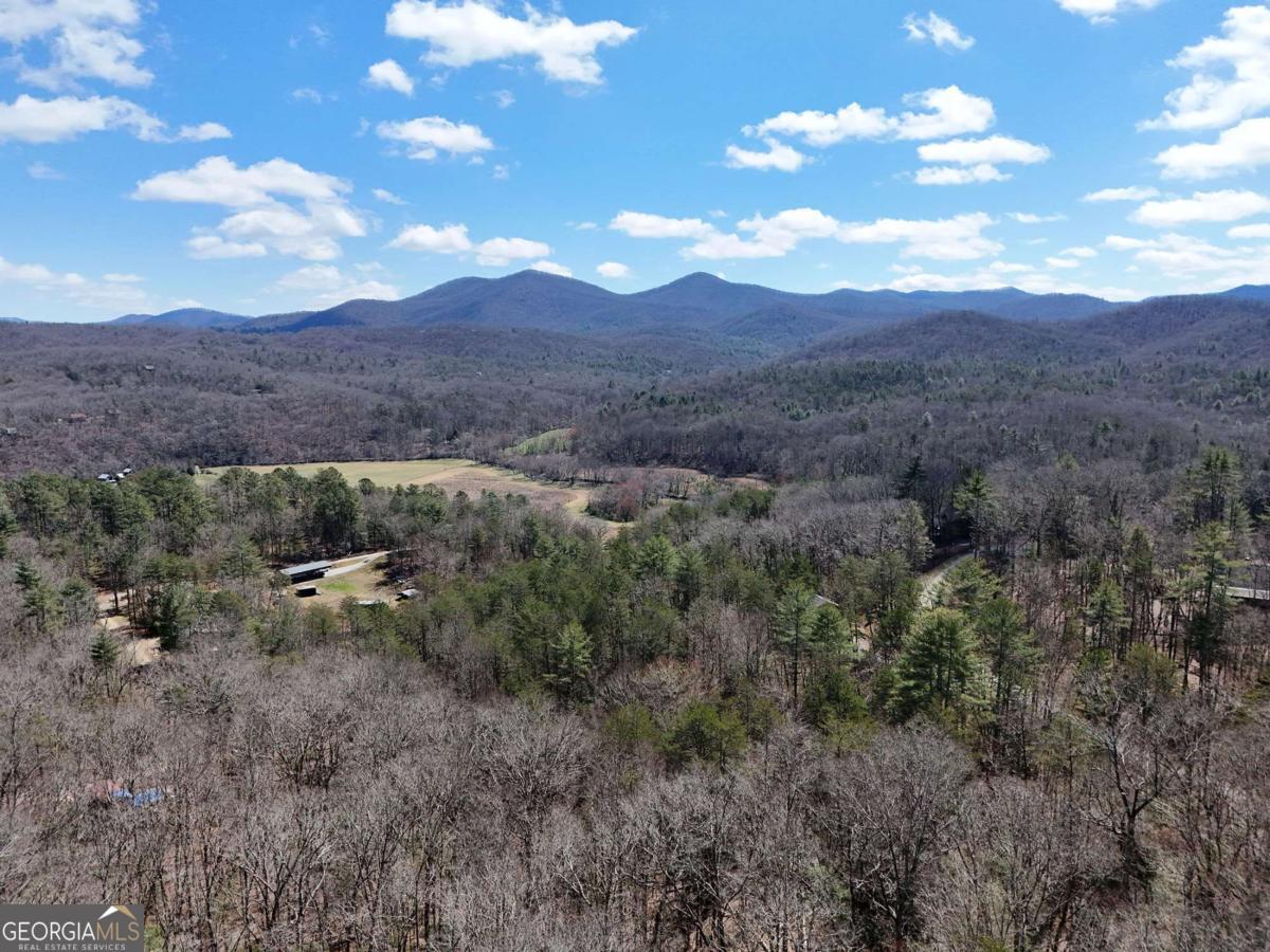 Lot 9 Native Trail Blue Ridge GA 30513