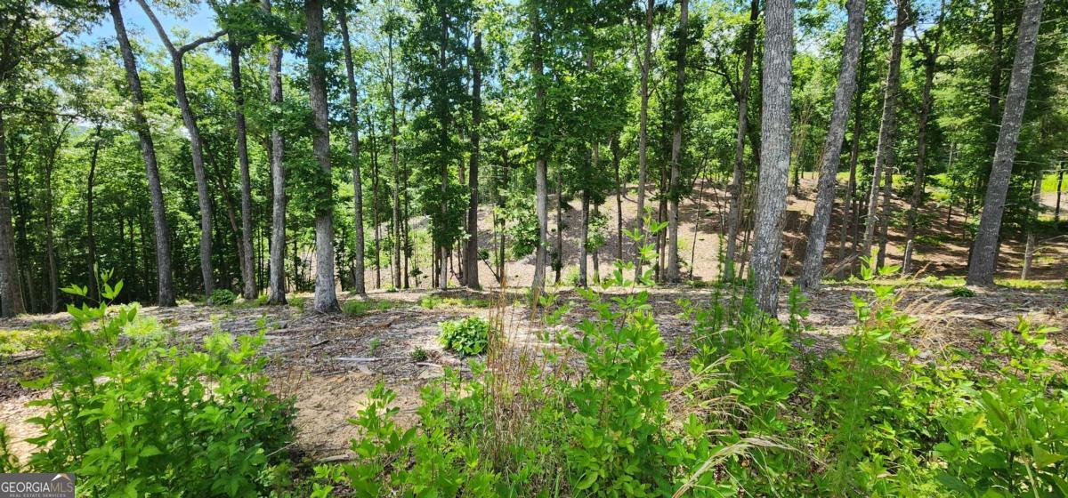 Lt 106 Split Creek Road Morganton GA 30560
